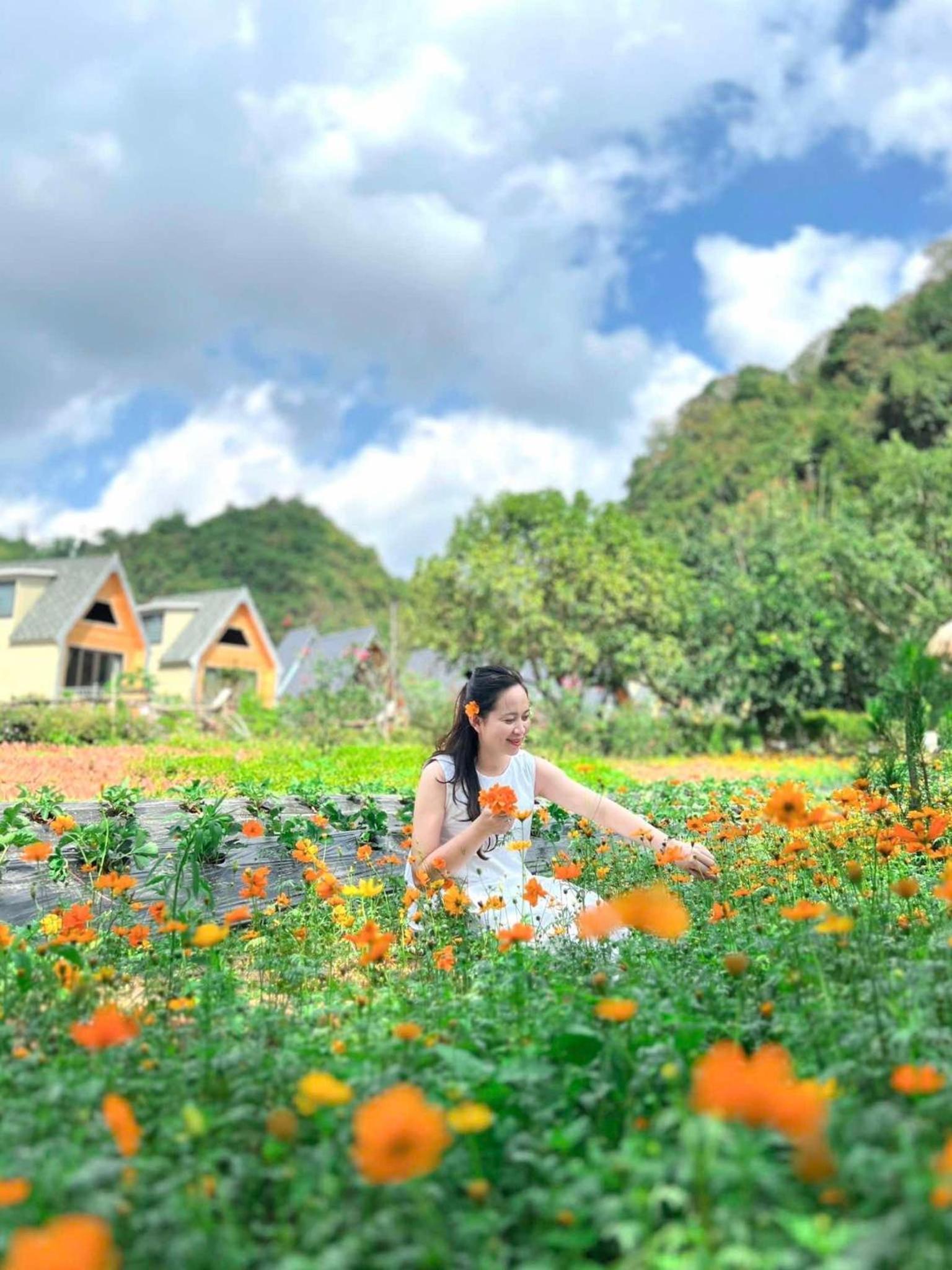 Vườn An nhiên Mộc Châu view 2