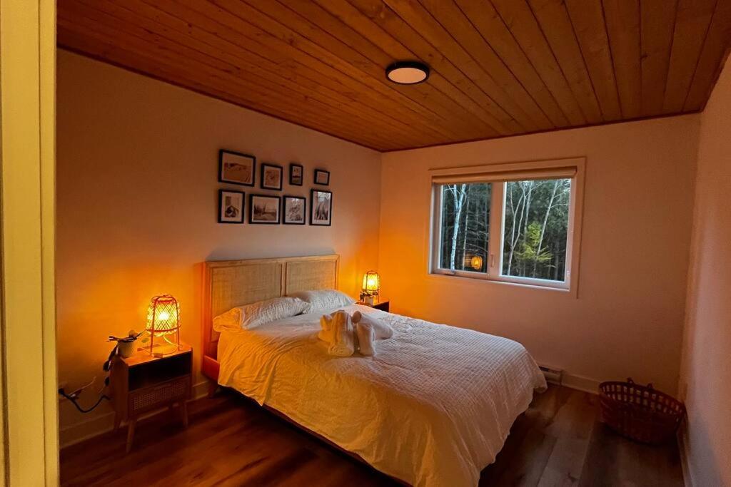 Serenity's Nest SPA SAUNA SKY Mountains