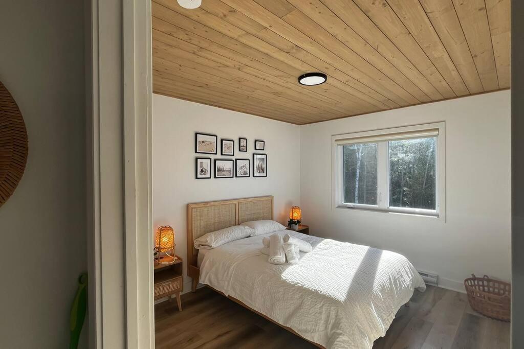 Serenity's Nest SPA SAUNA SKY Mountains