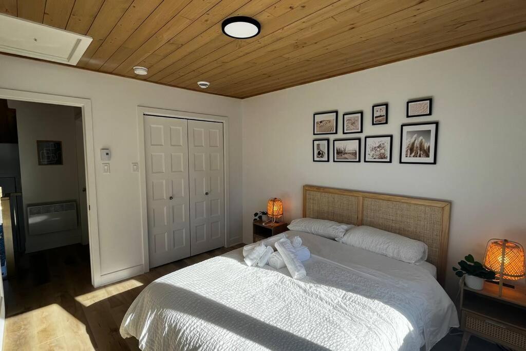 Serenity's Nest SPA SAUNA SKY Mountains