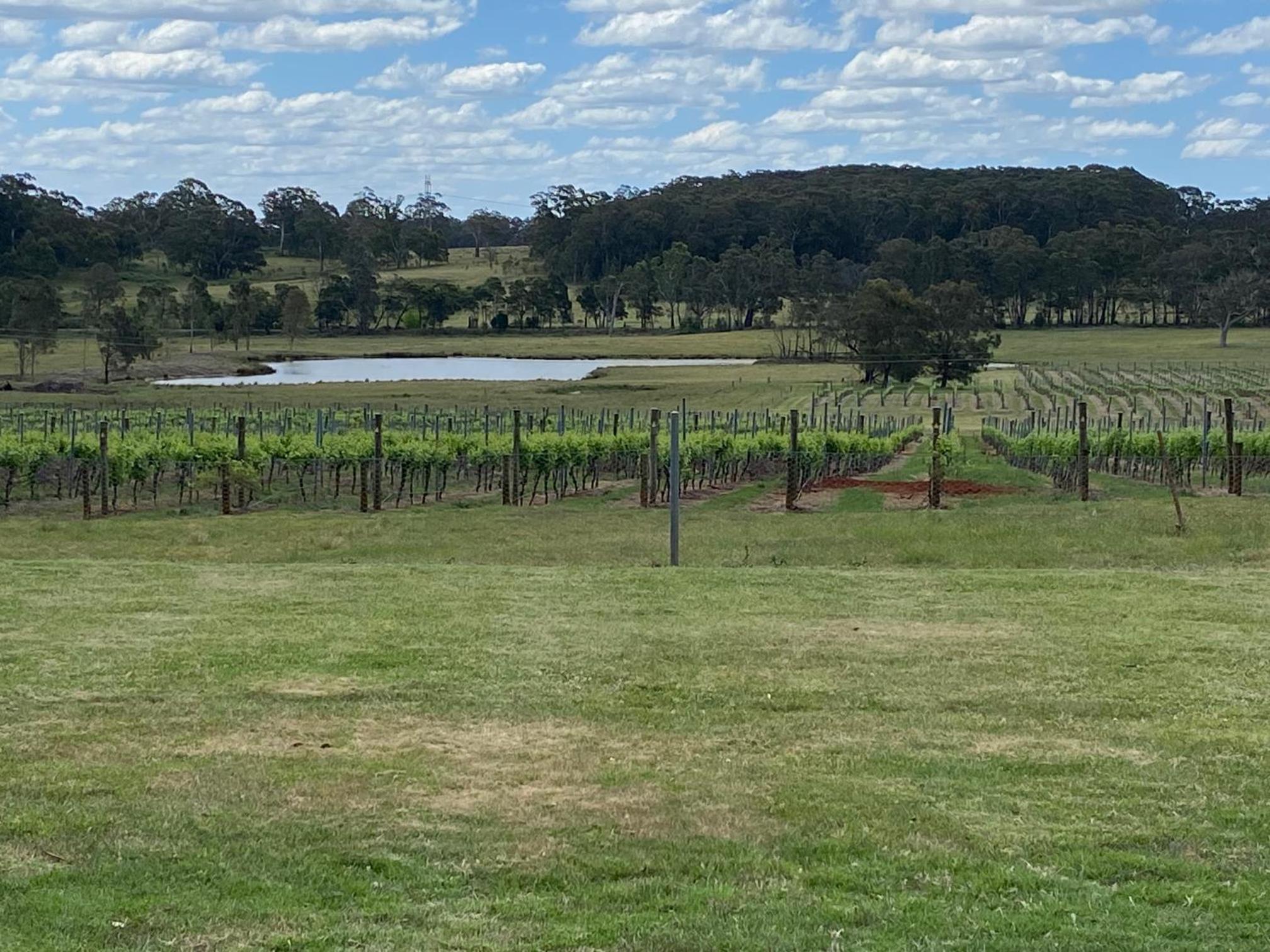 Exeter House Estate Vineyard Residence