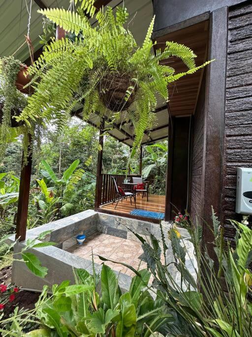 Edén Bungalow, A Paradise in La Fortuna!