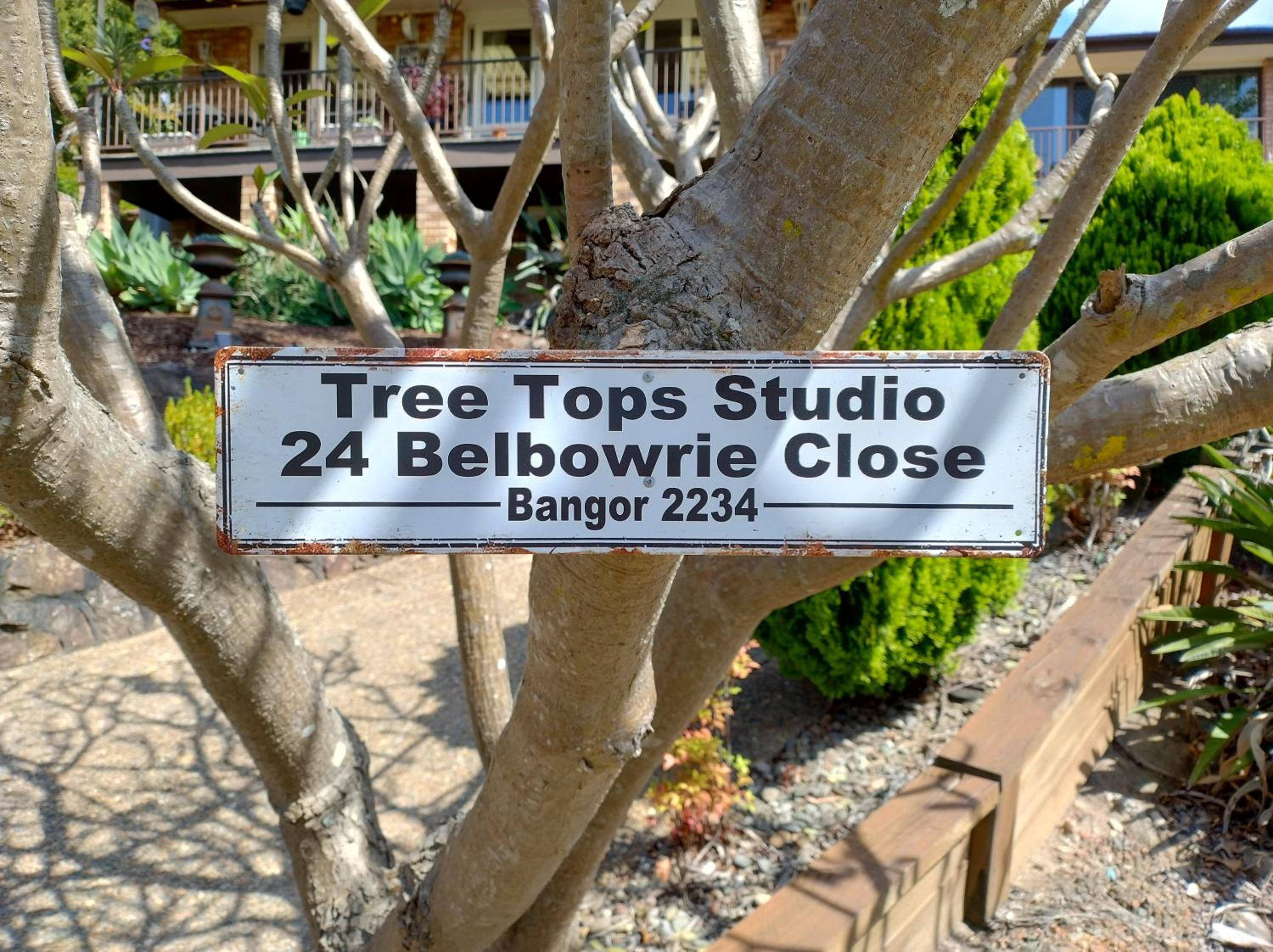 Tree Tops Studio Bangor