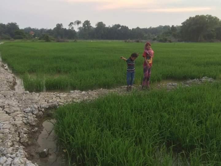 D'Bendang Homestay photo 5