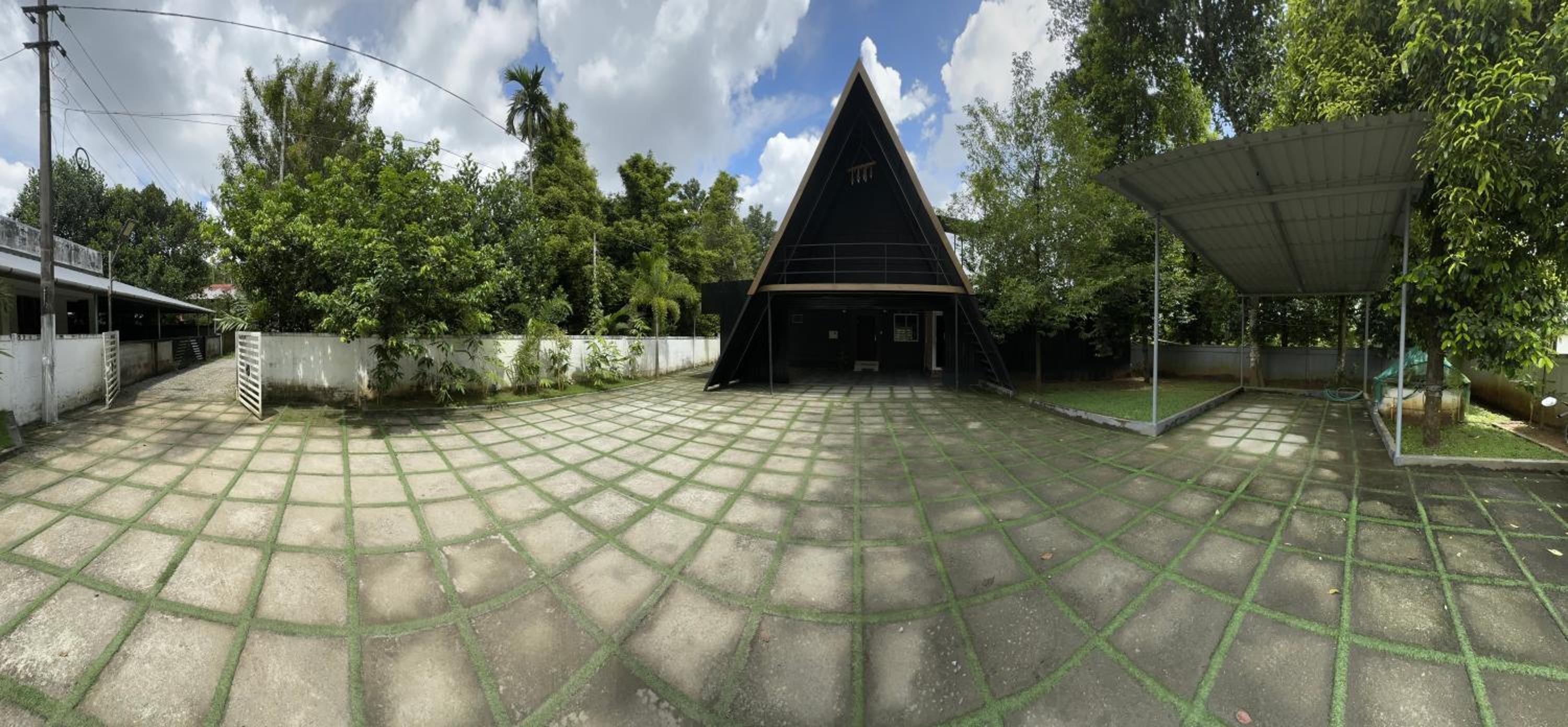 Photo 19