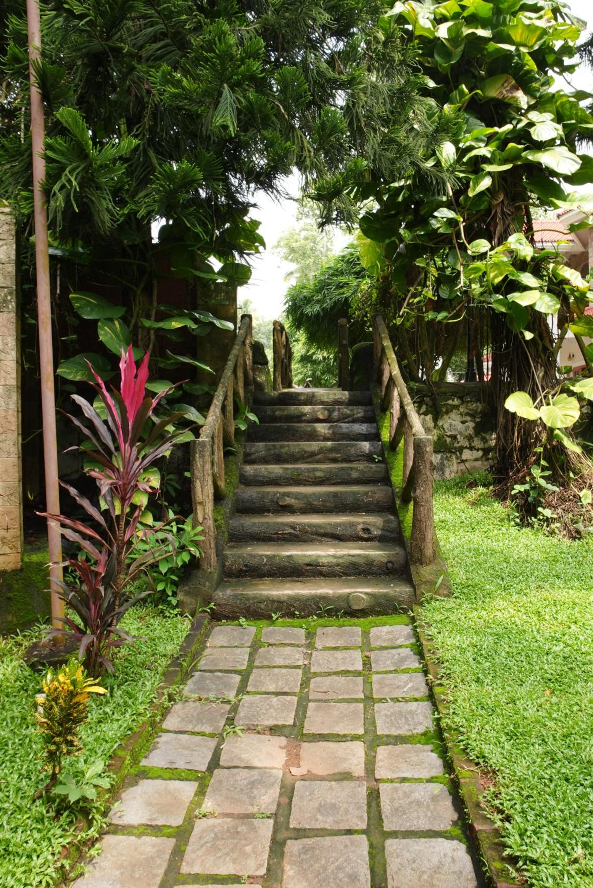 Photo 26