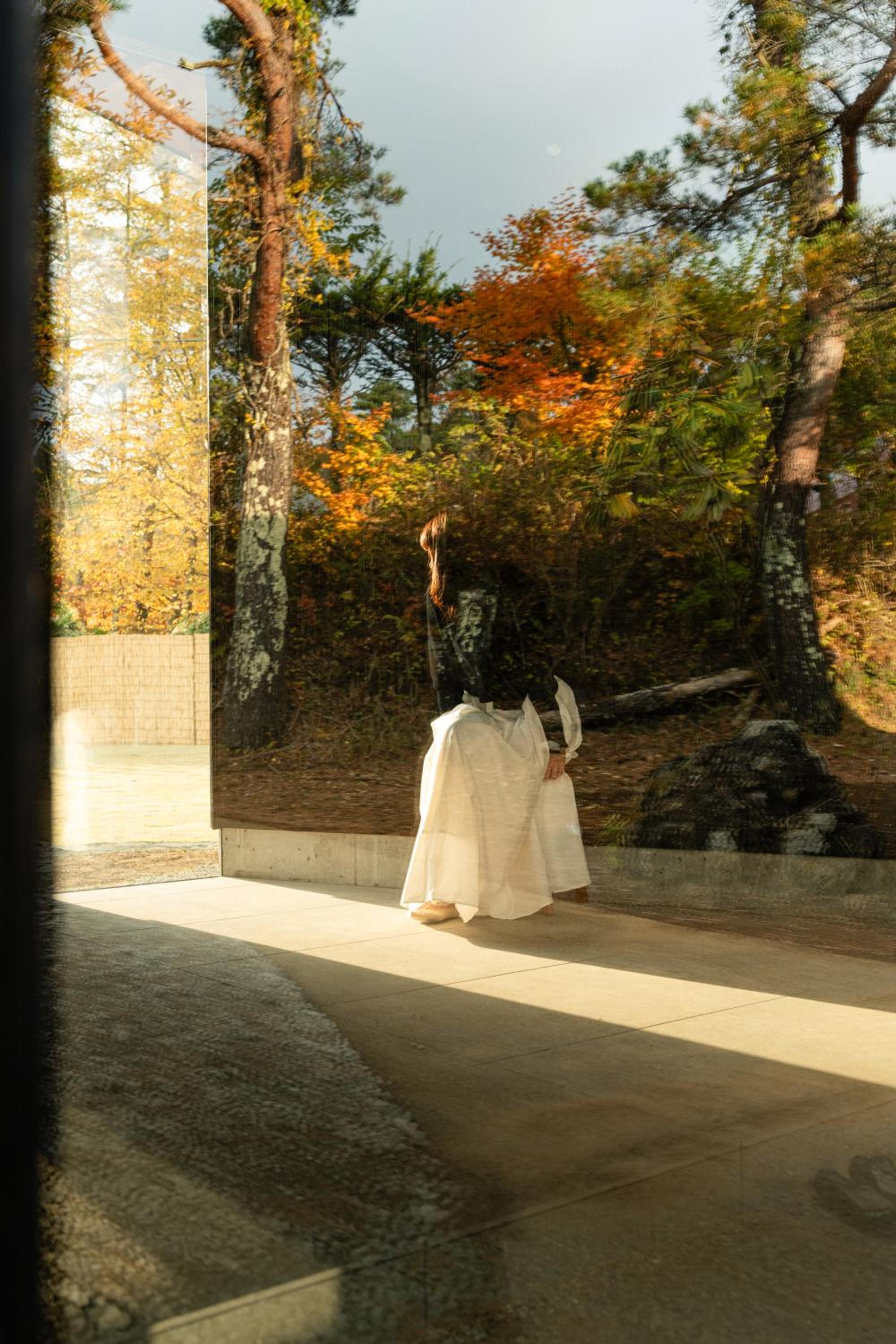 mysa yamanakako