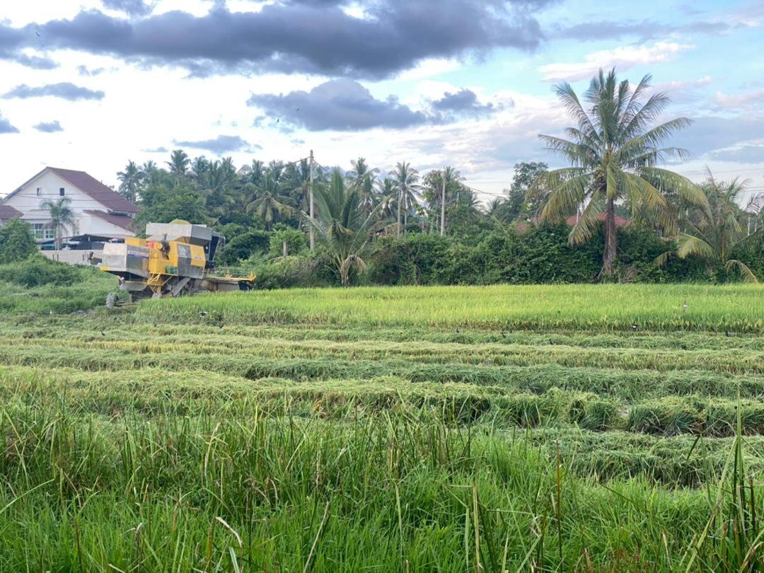 D'Bendang Homestay photo 4