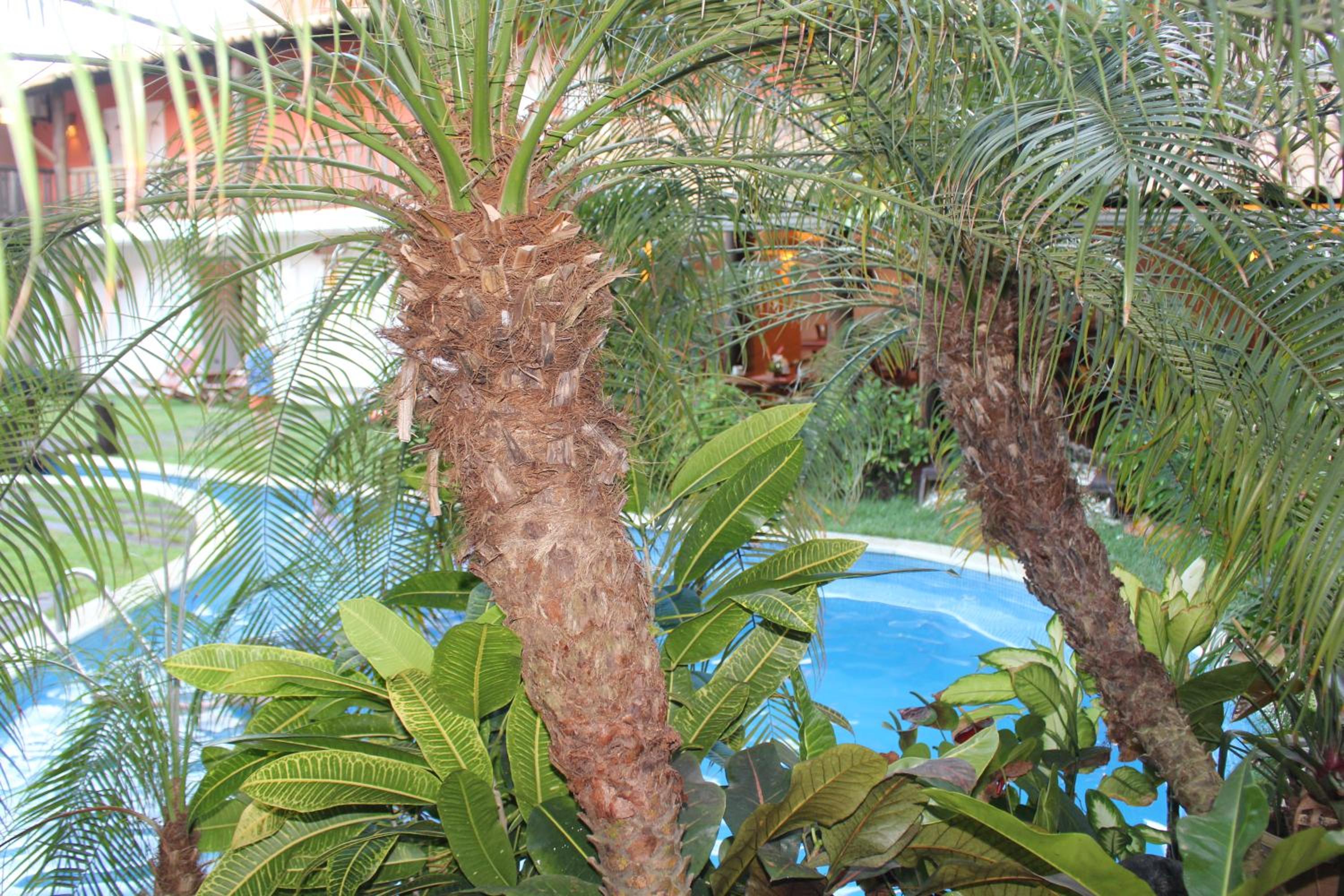 Photo 27
