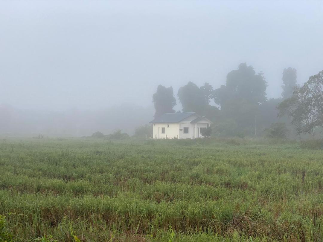 D'Bendang Homestay photo 7