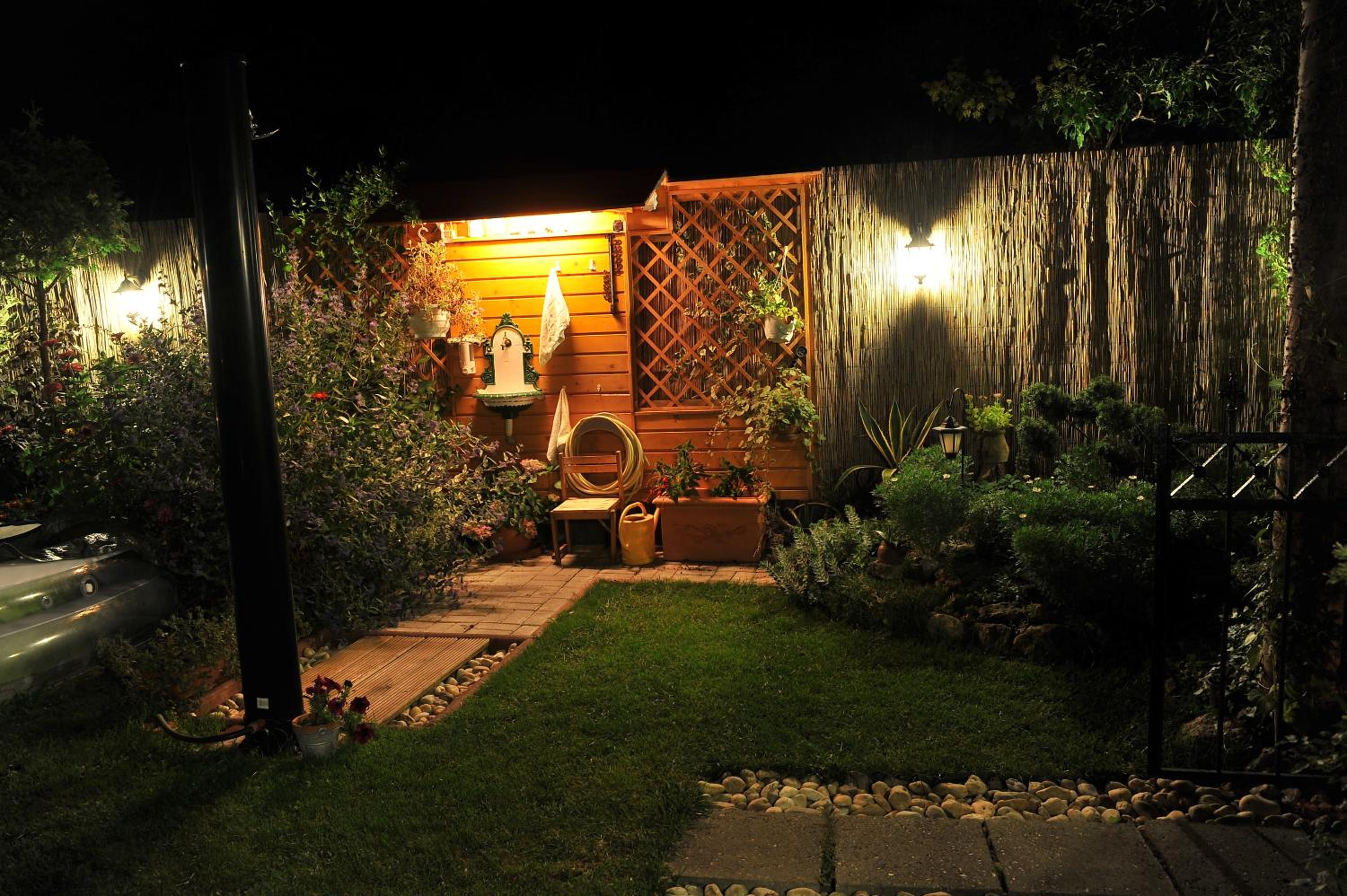 Photo 8