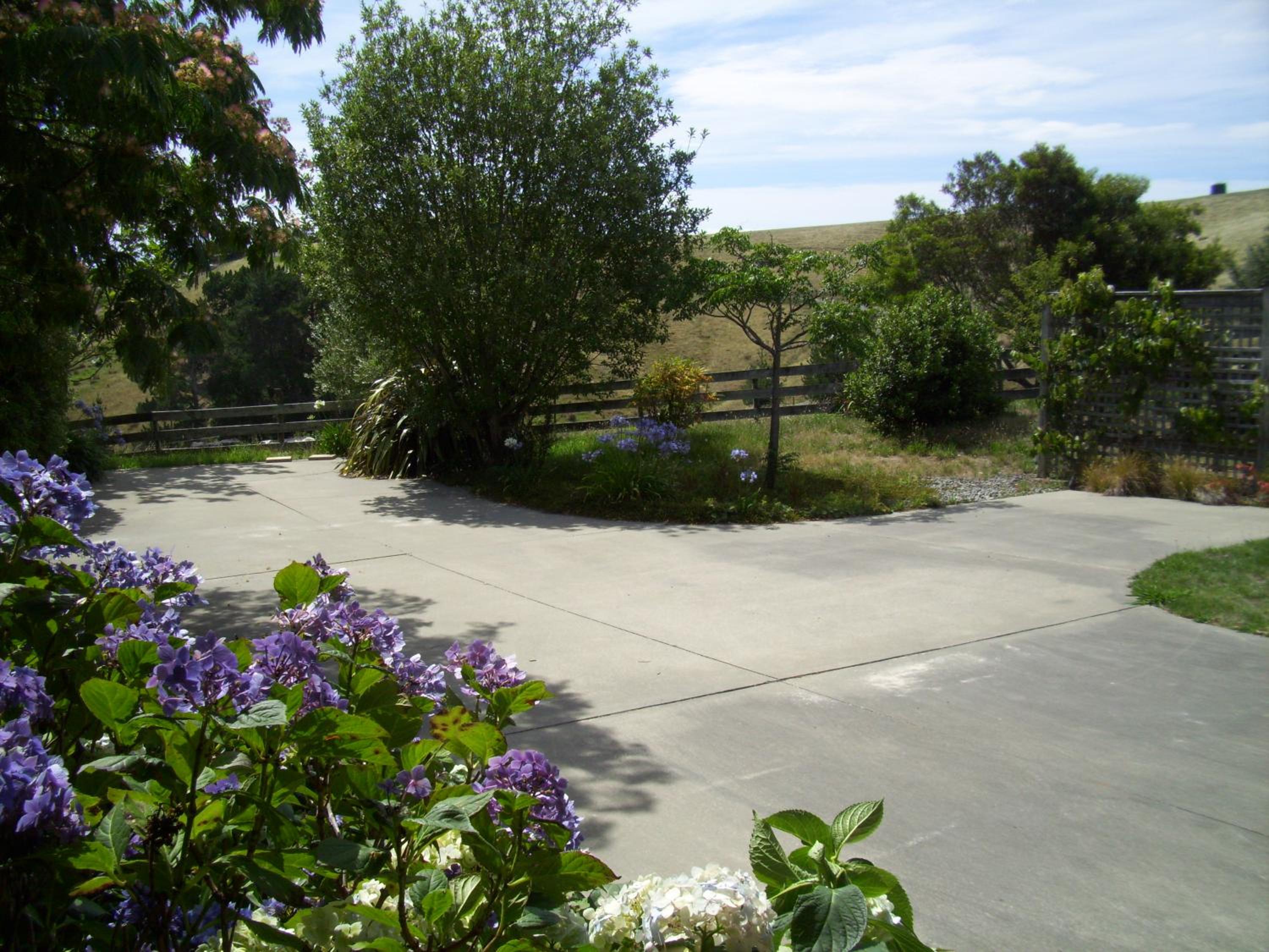 Photo 24