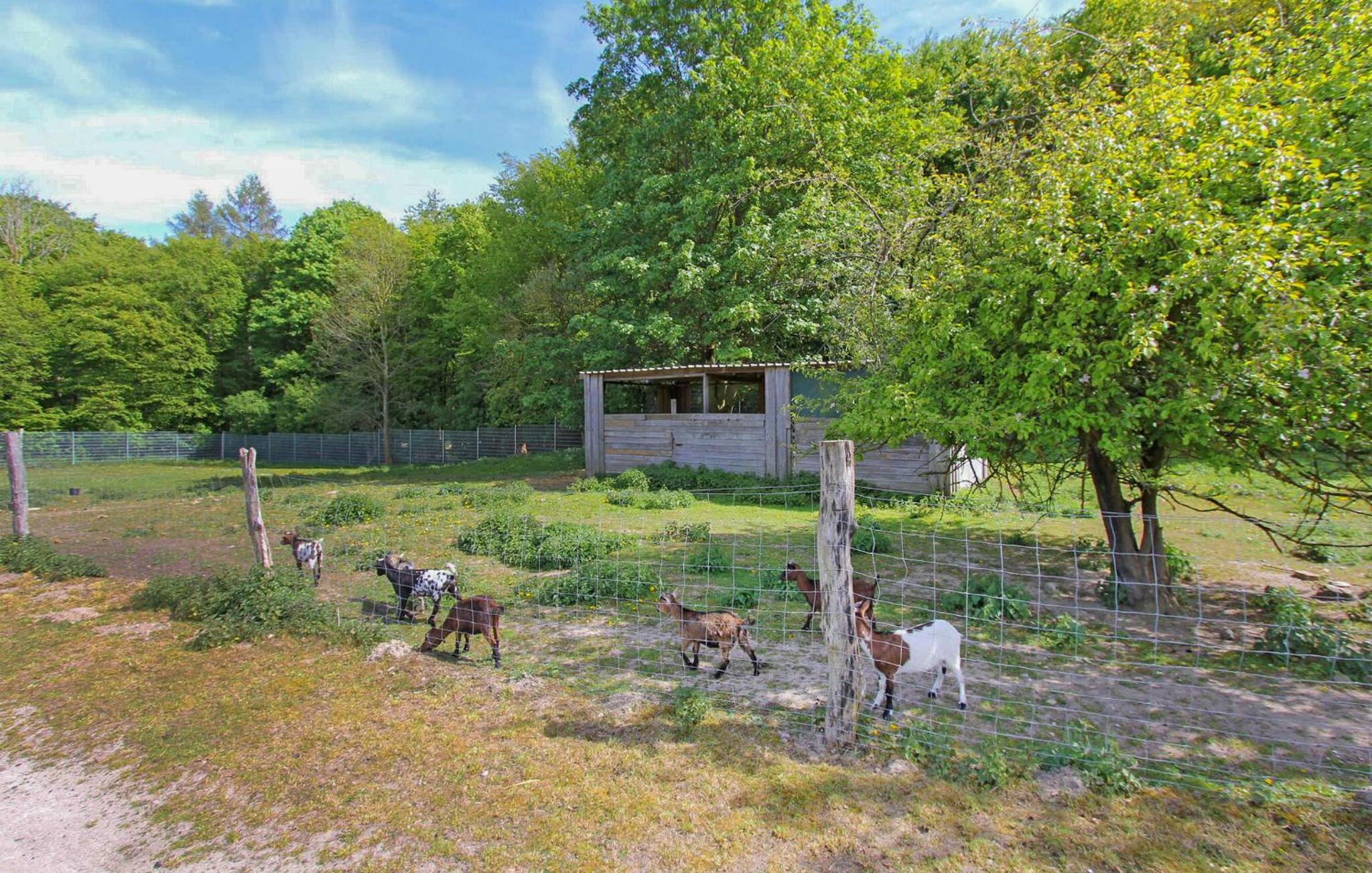 Ferienwohnung Kuchelmiß
