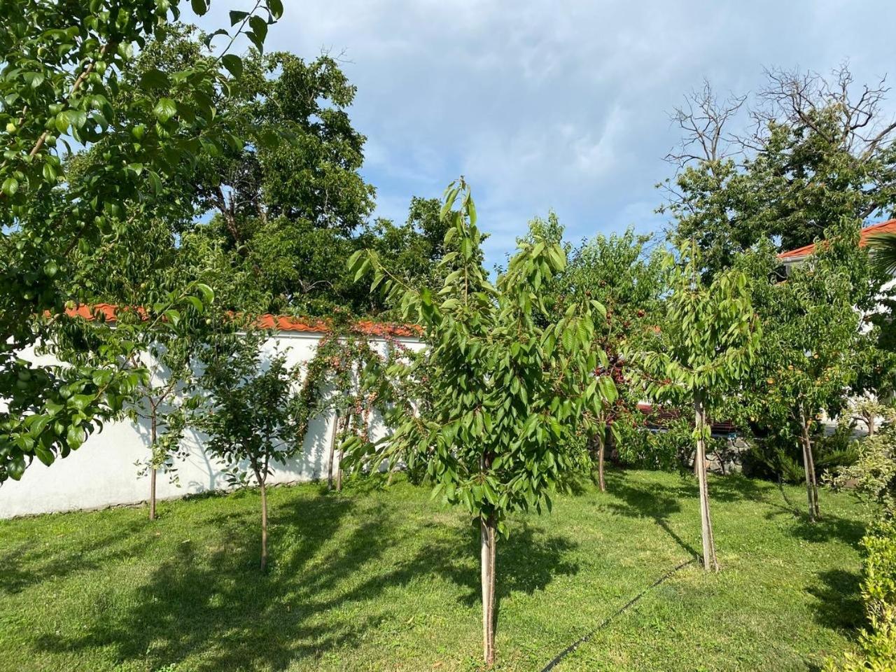 Villa dé Zaqatala