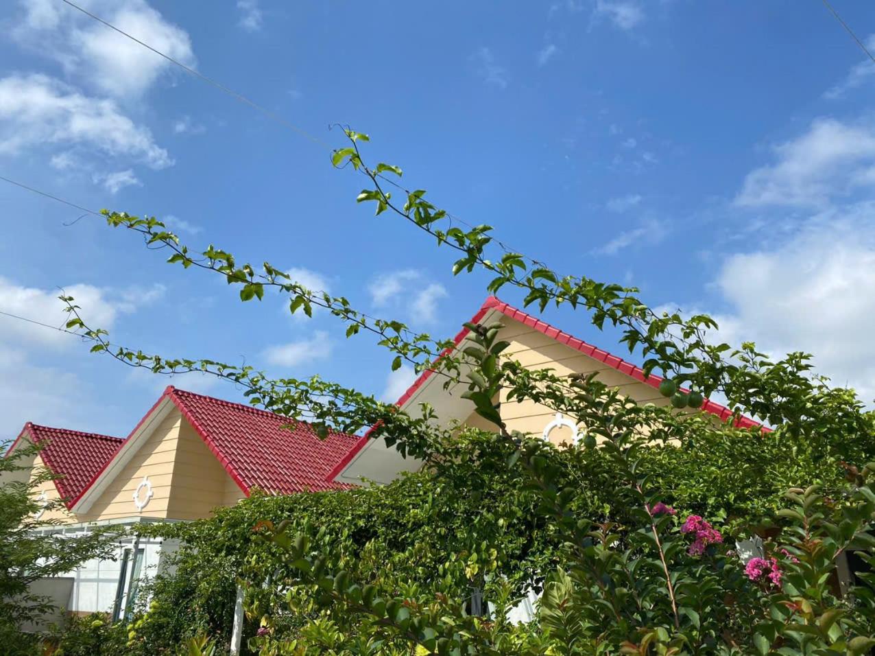 Lightly Homestay