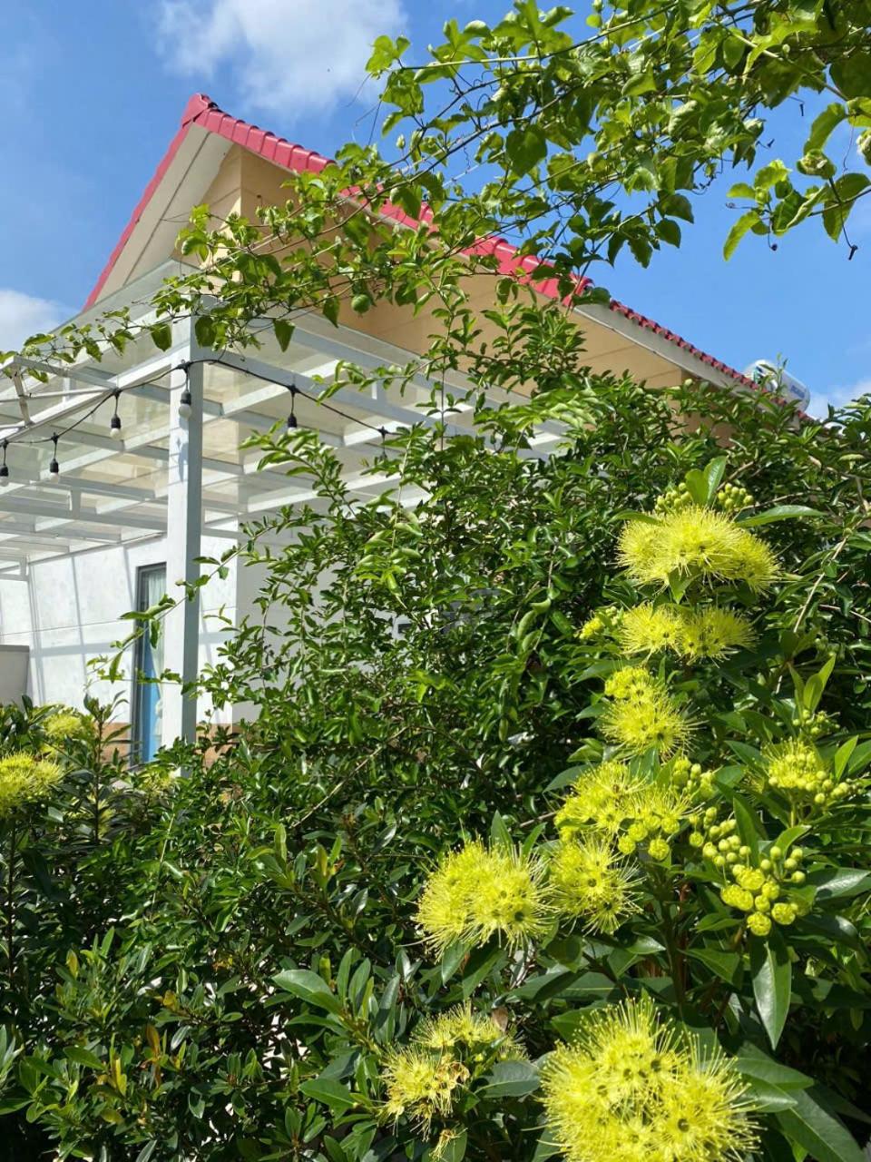 Lightly Homestay