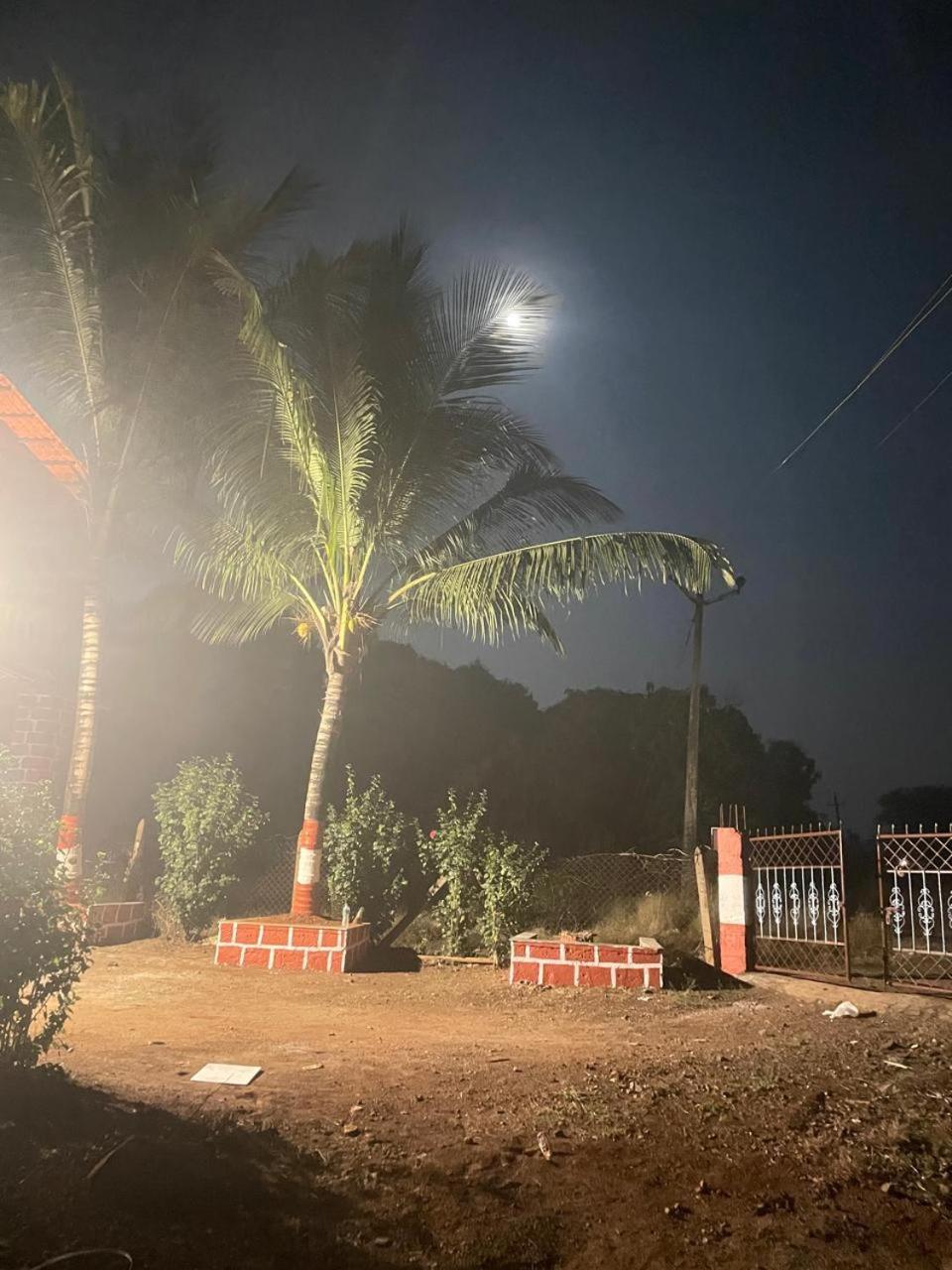 Waves & Mangoes Farm Stay view 3