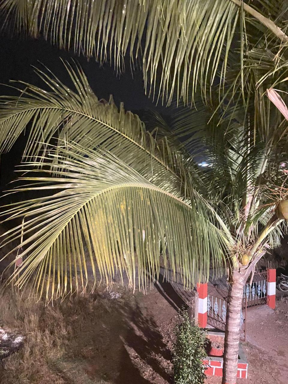 Waves & Mangoes Farm Stay view 5
