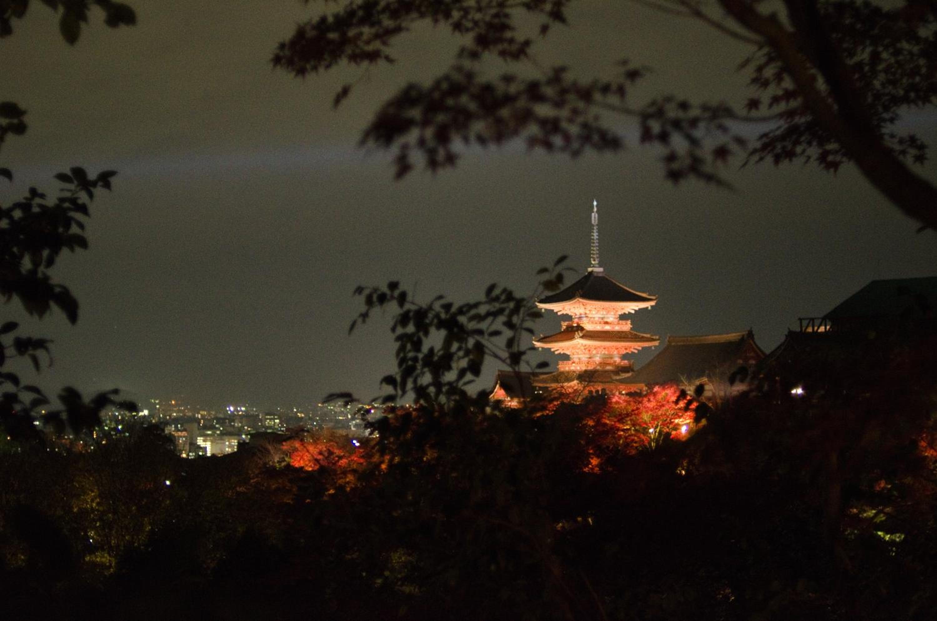 Four Points Flex by Sheraton Kyoto Oike photo 5