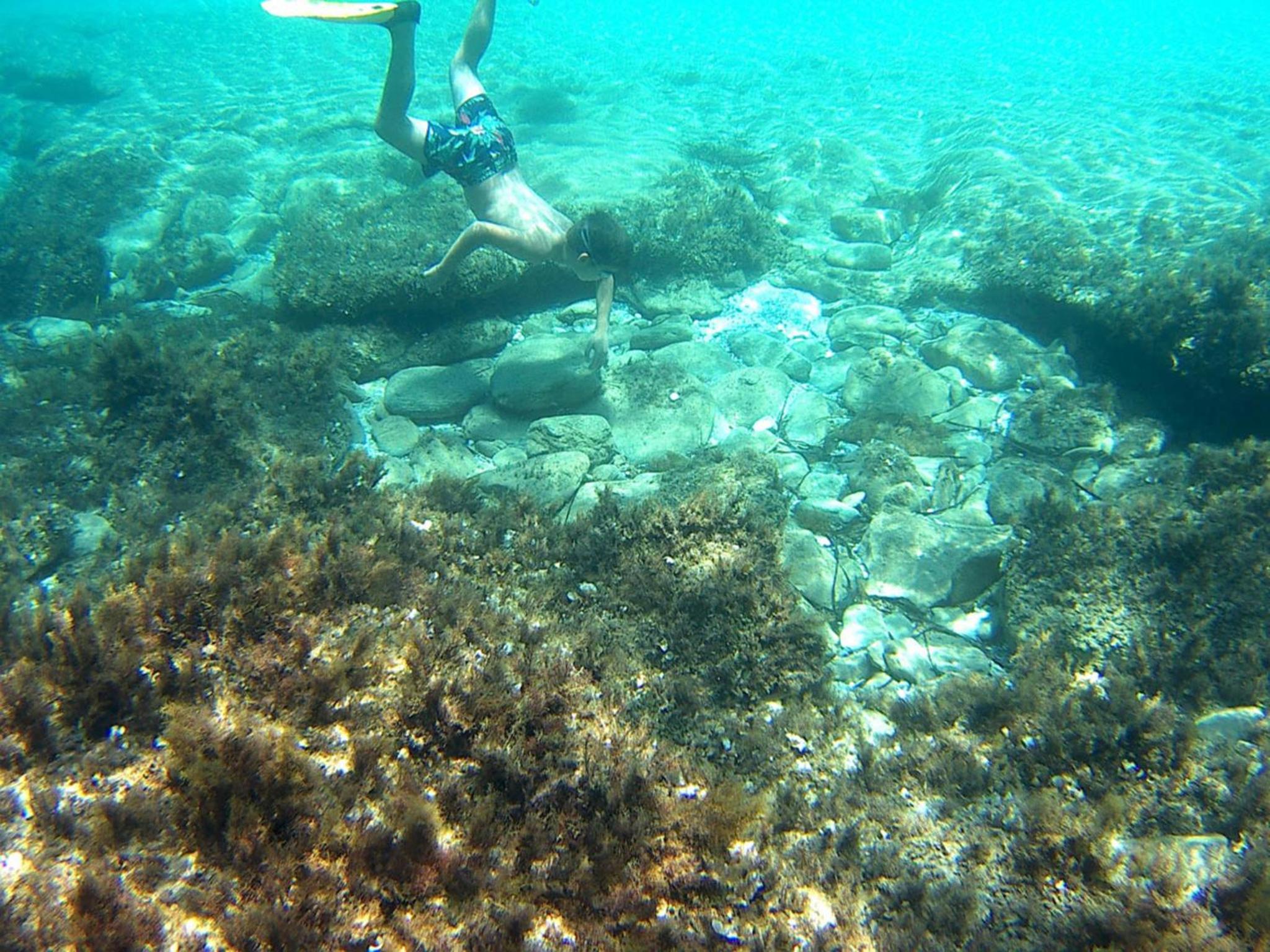Photo 25