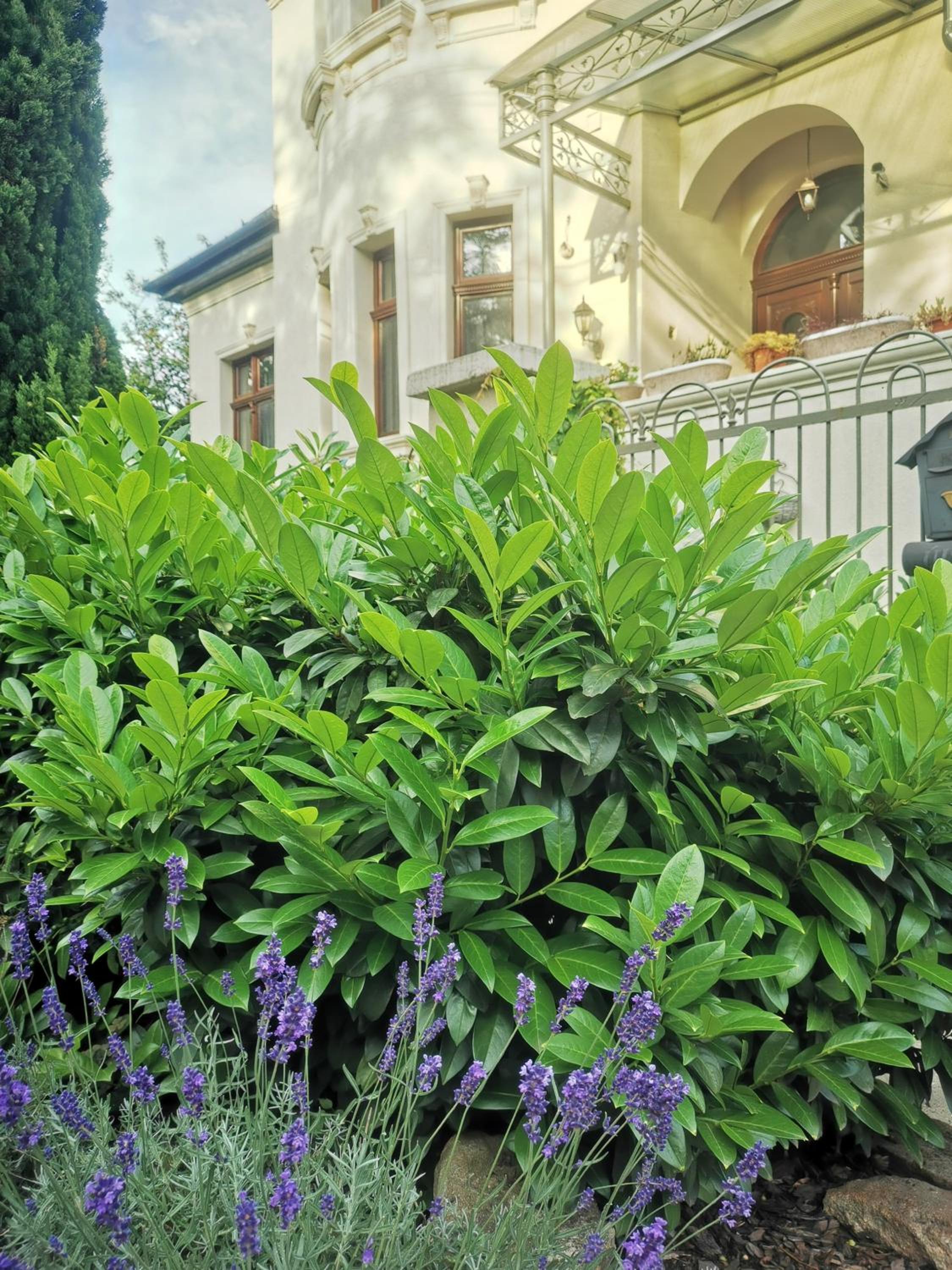 Kúria Apartman Private Wellness