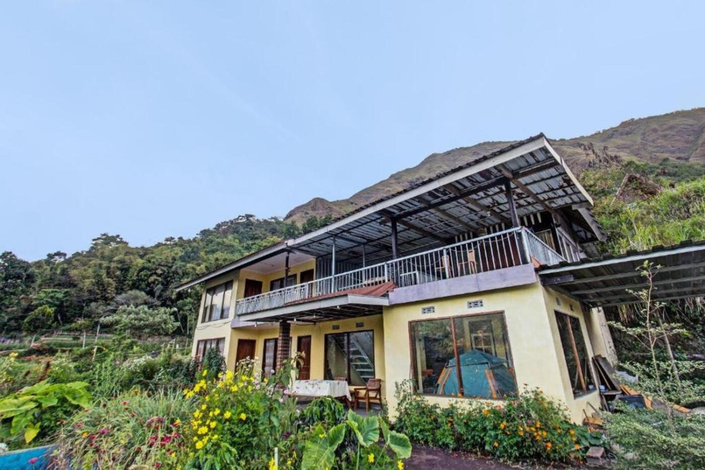 Villa Strawberry Sembalun