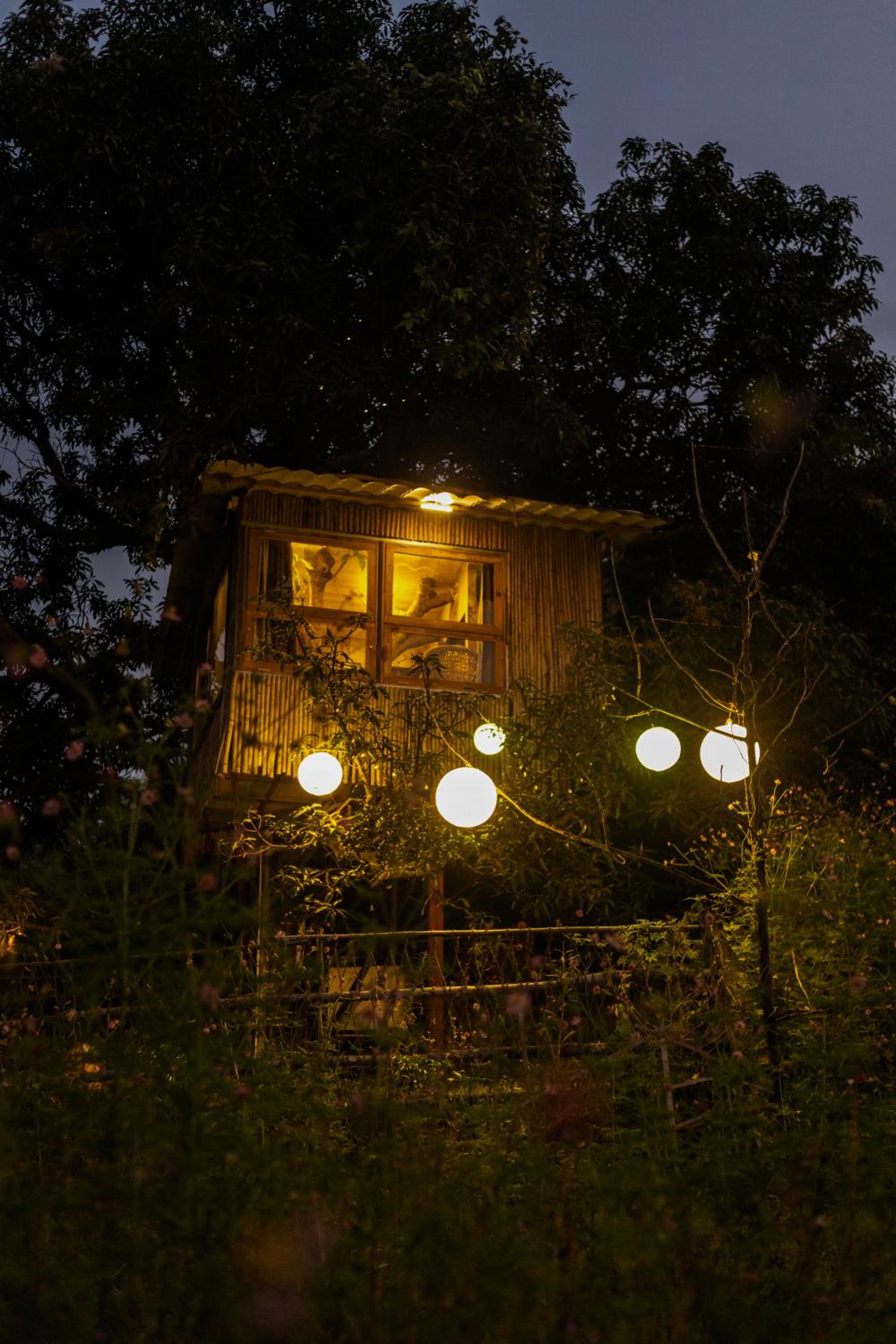 Kathaa the forest retreat