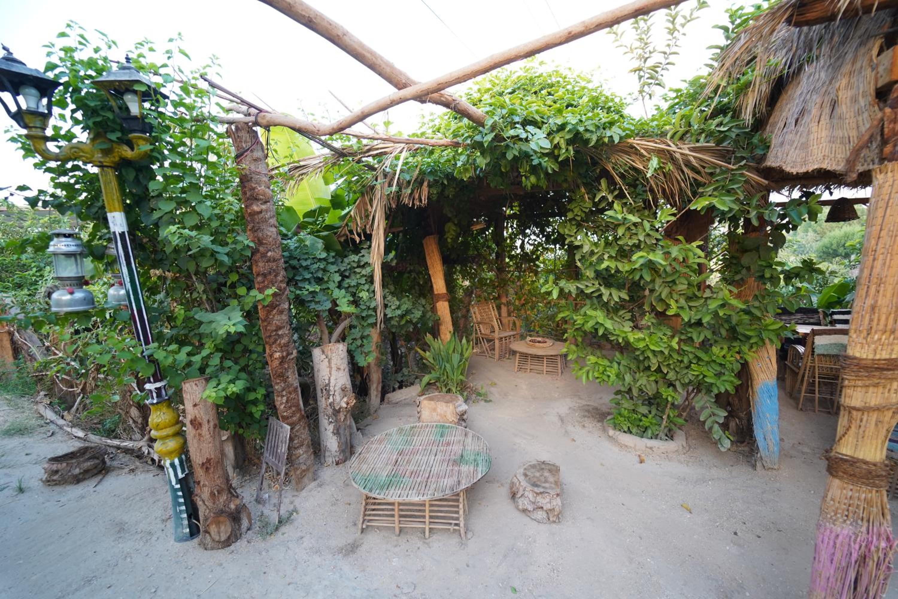 Bedouin Lodge Luxor
