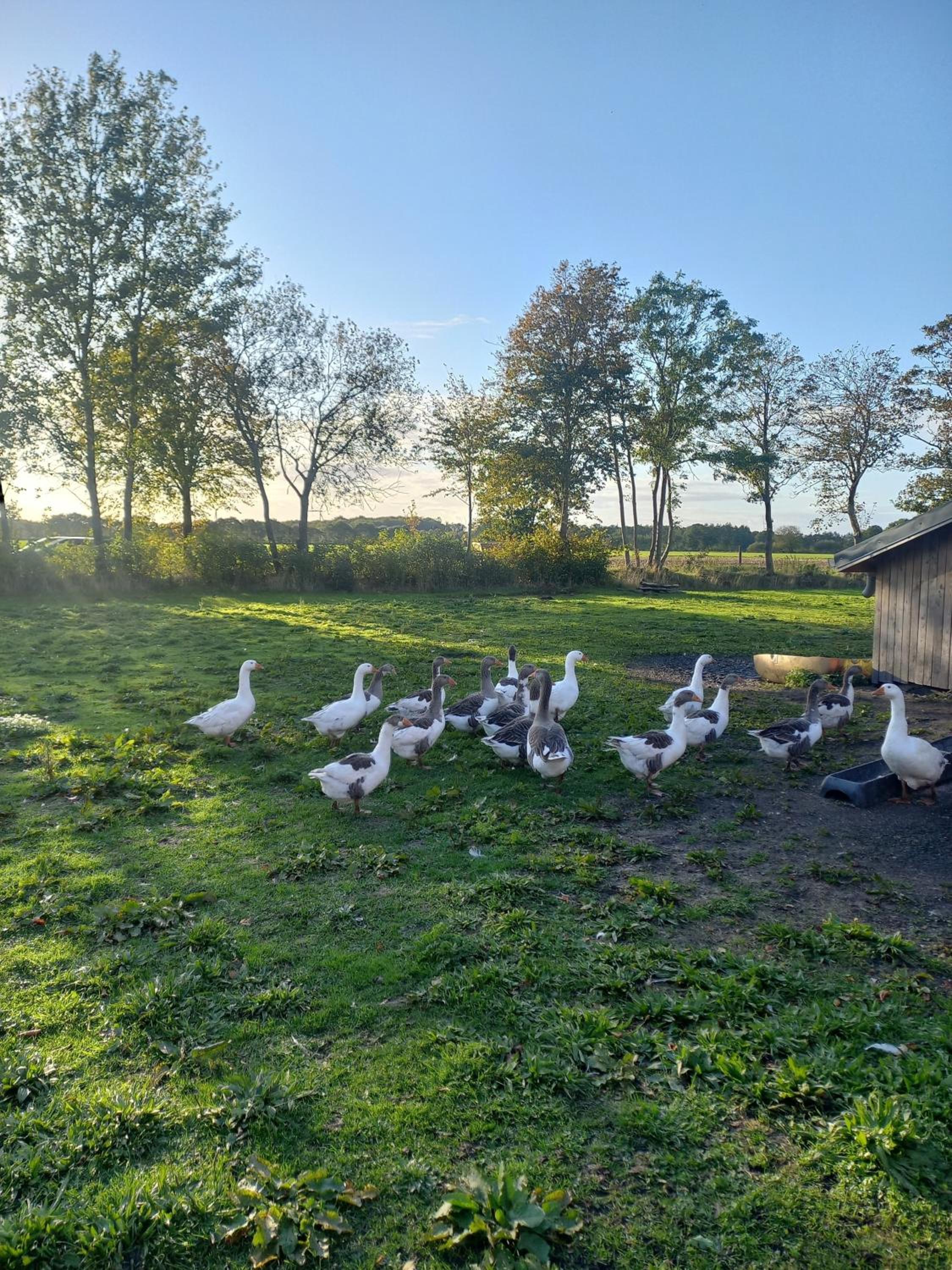 Weidehof kleiner Heuboden