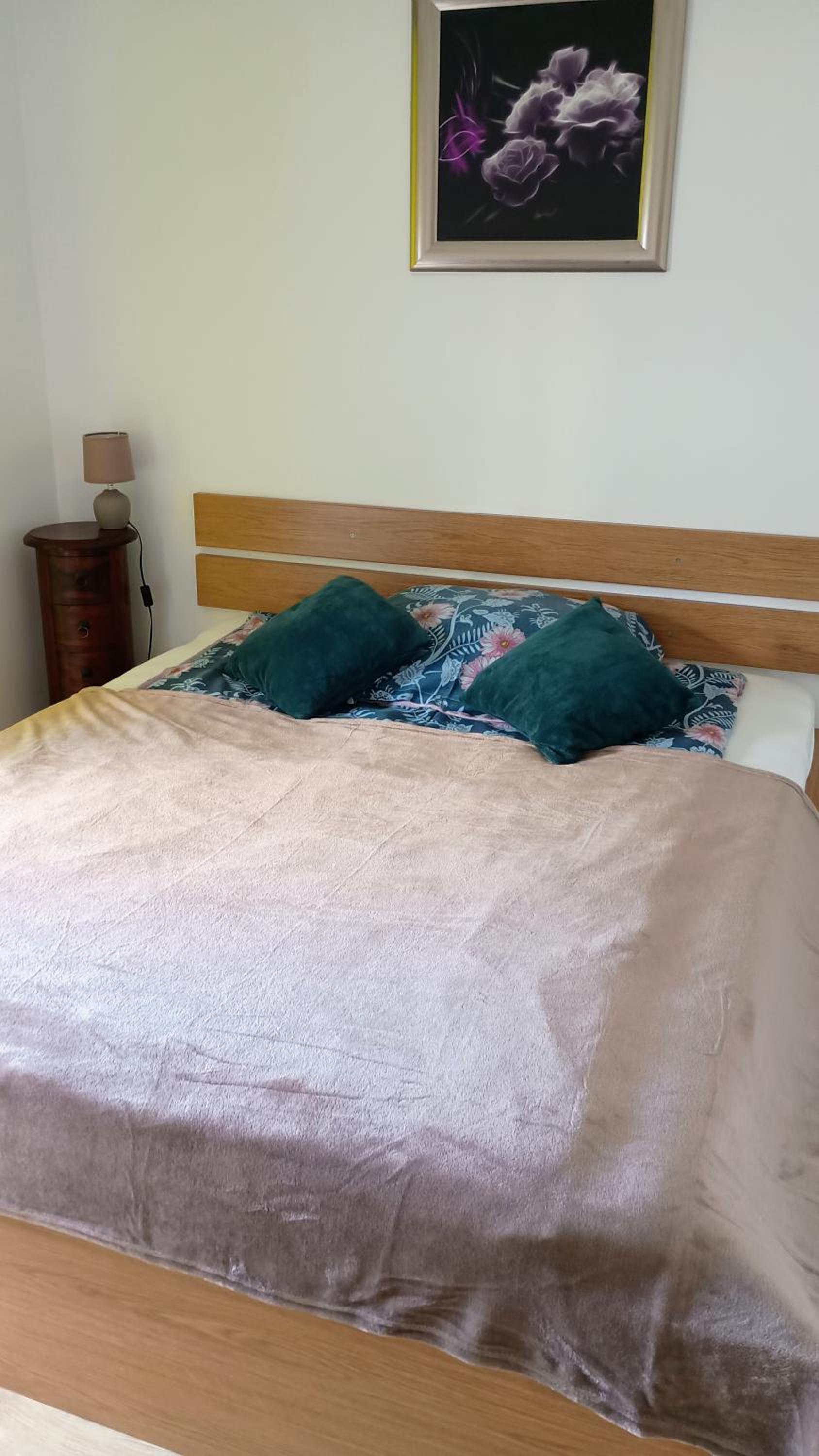 Apartament Kwiatowy klimatyzowany, photo 18