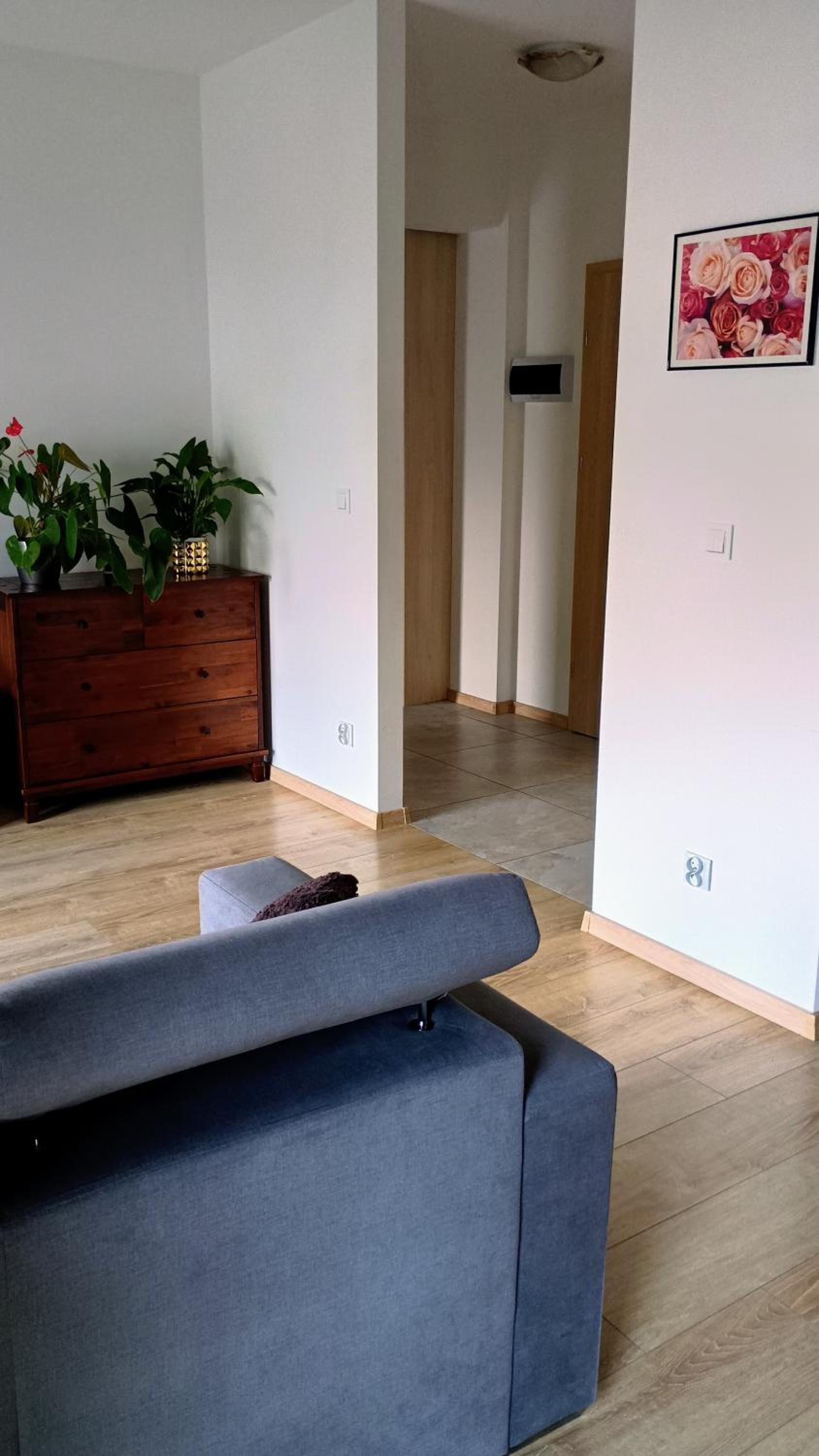 Apartament Kwiatowy klimatyzowany, photo 22