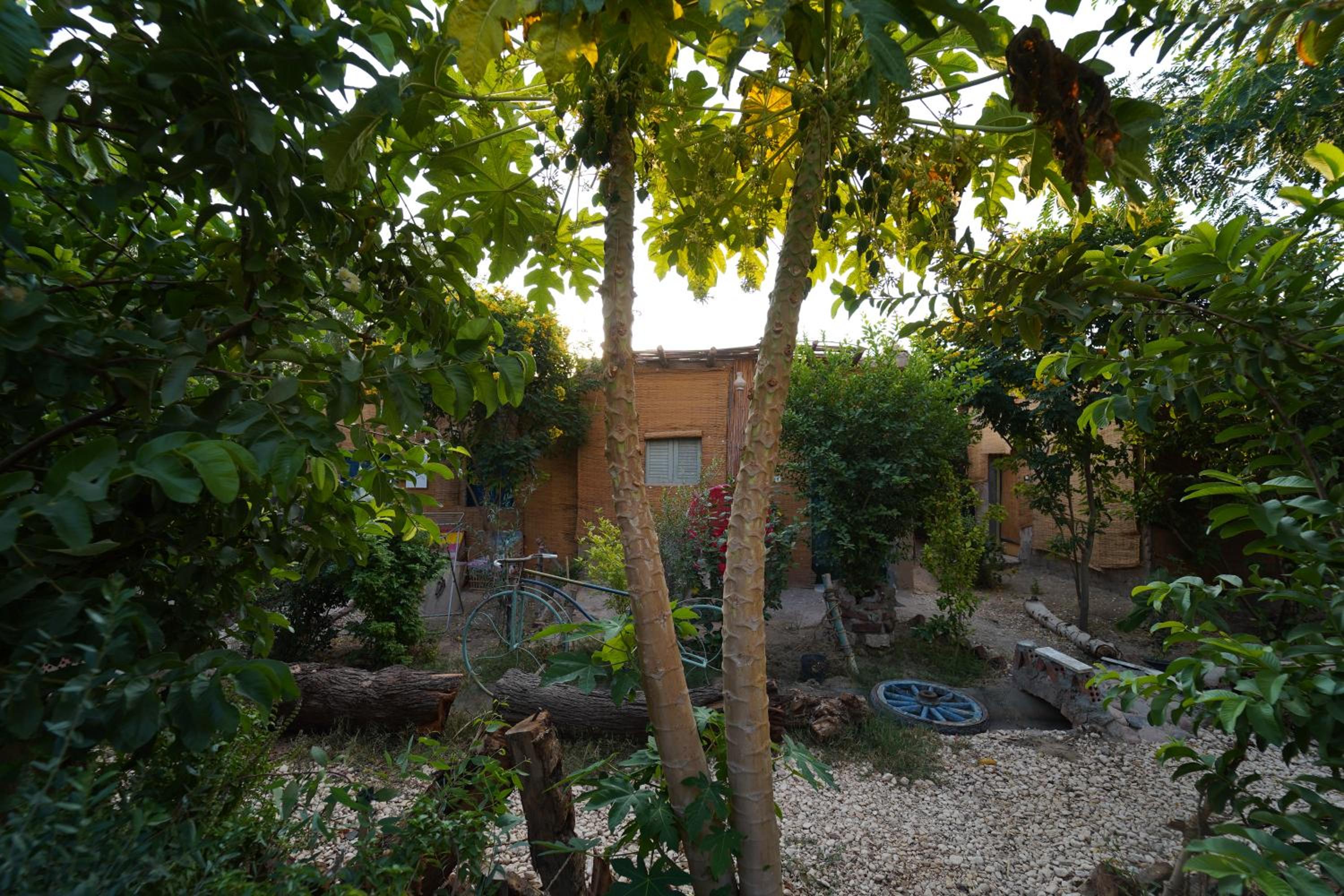 Bedouin Lodge Luxor