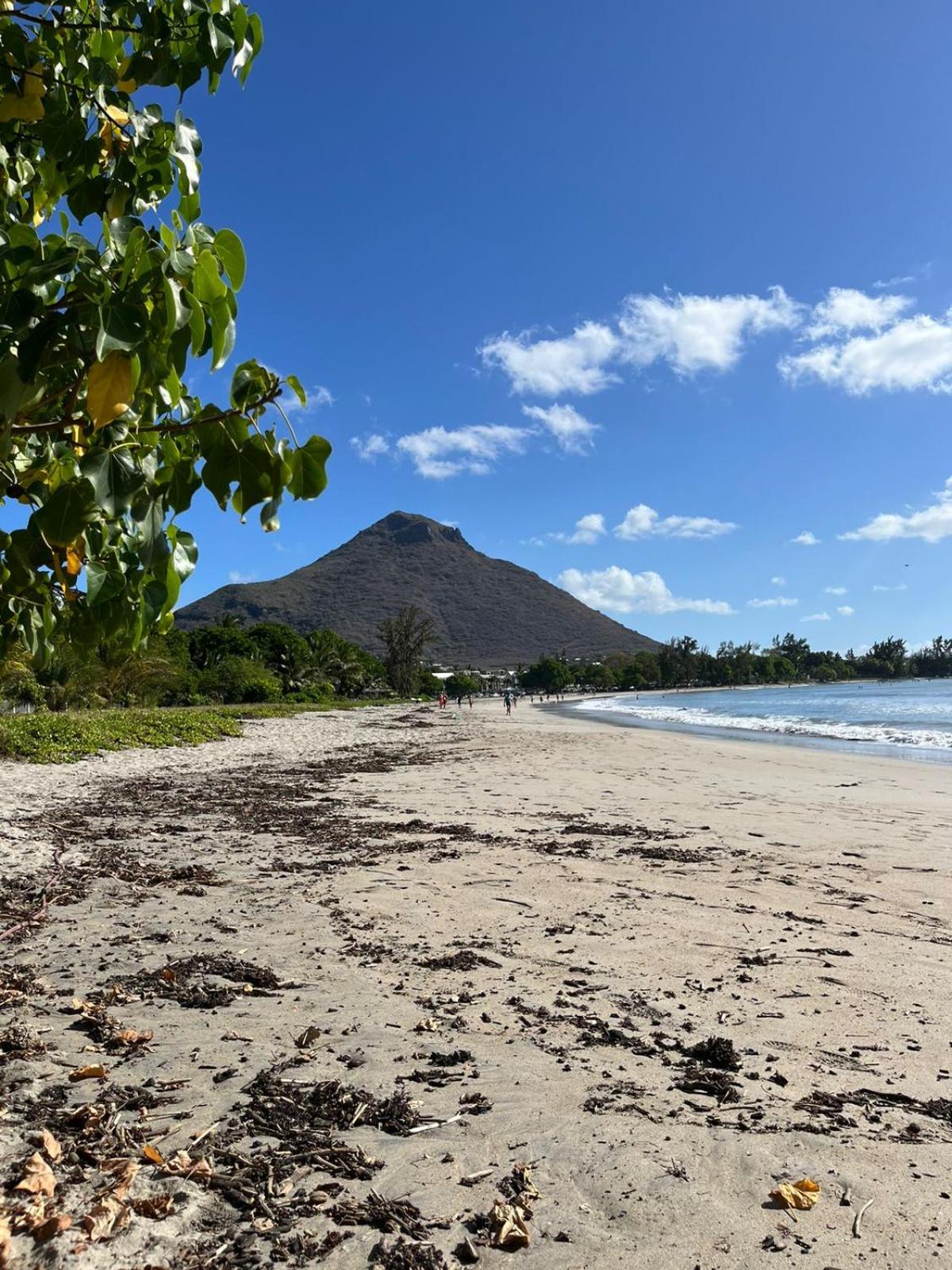Barachois Cabana Accès plage à 1 min à pied