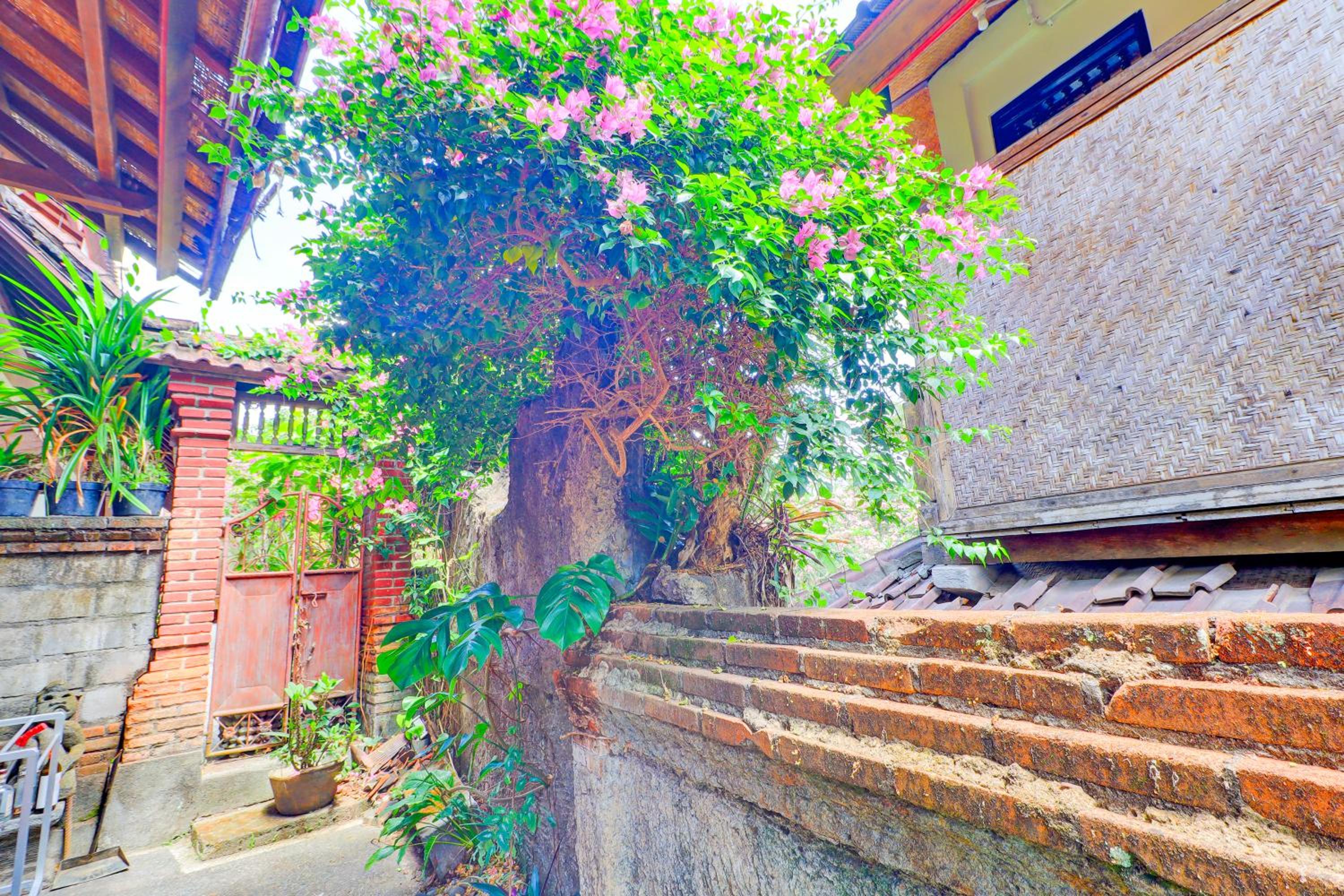 Hotel O Ubud Asri Homestay Near Monkey Forest