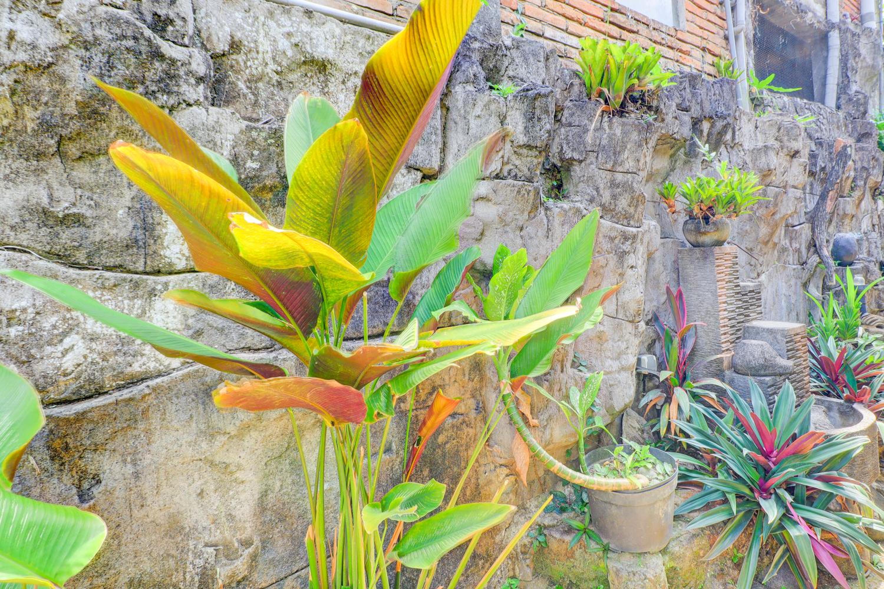 Hotel O Ubud Asri Homestay Near Monkey Forest