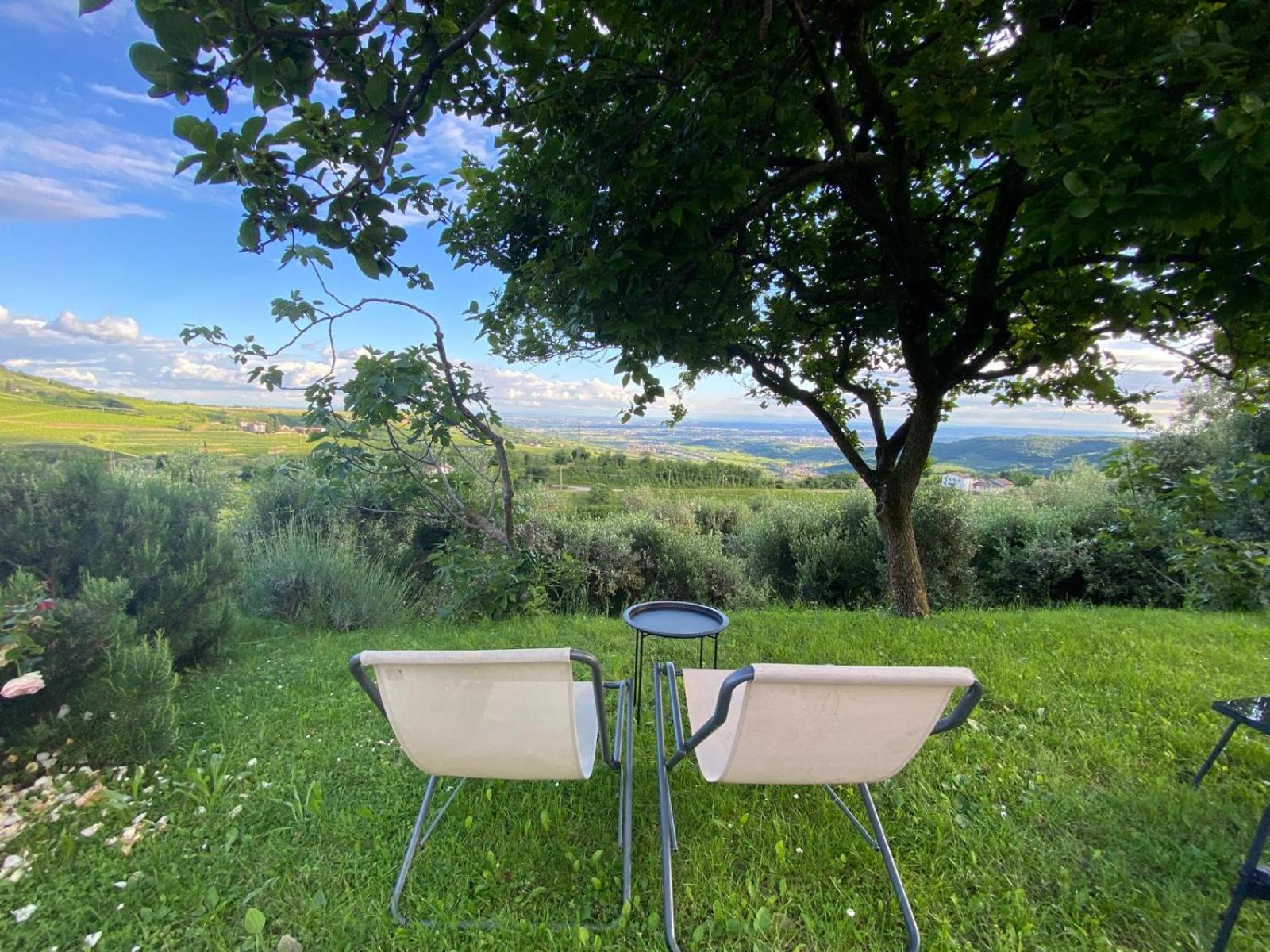 Agriturismo La Perlara - Adults Only view 4