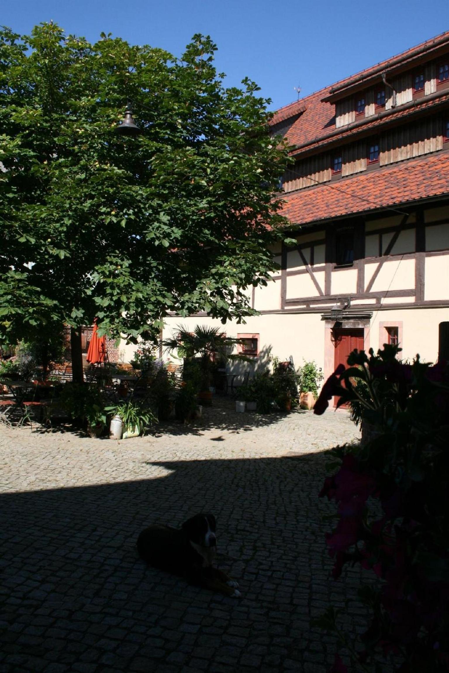 Photo 35