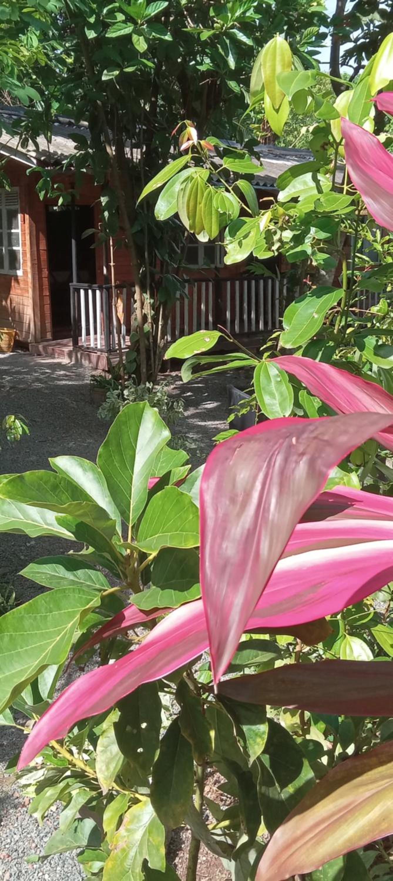 My House Ahangama view 3
