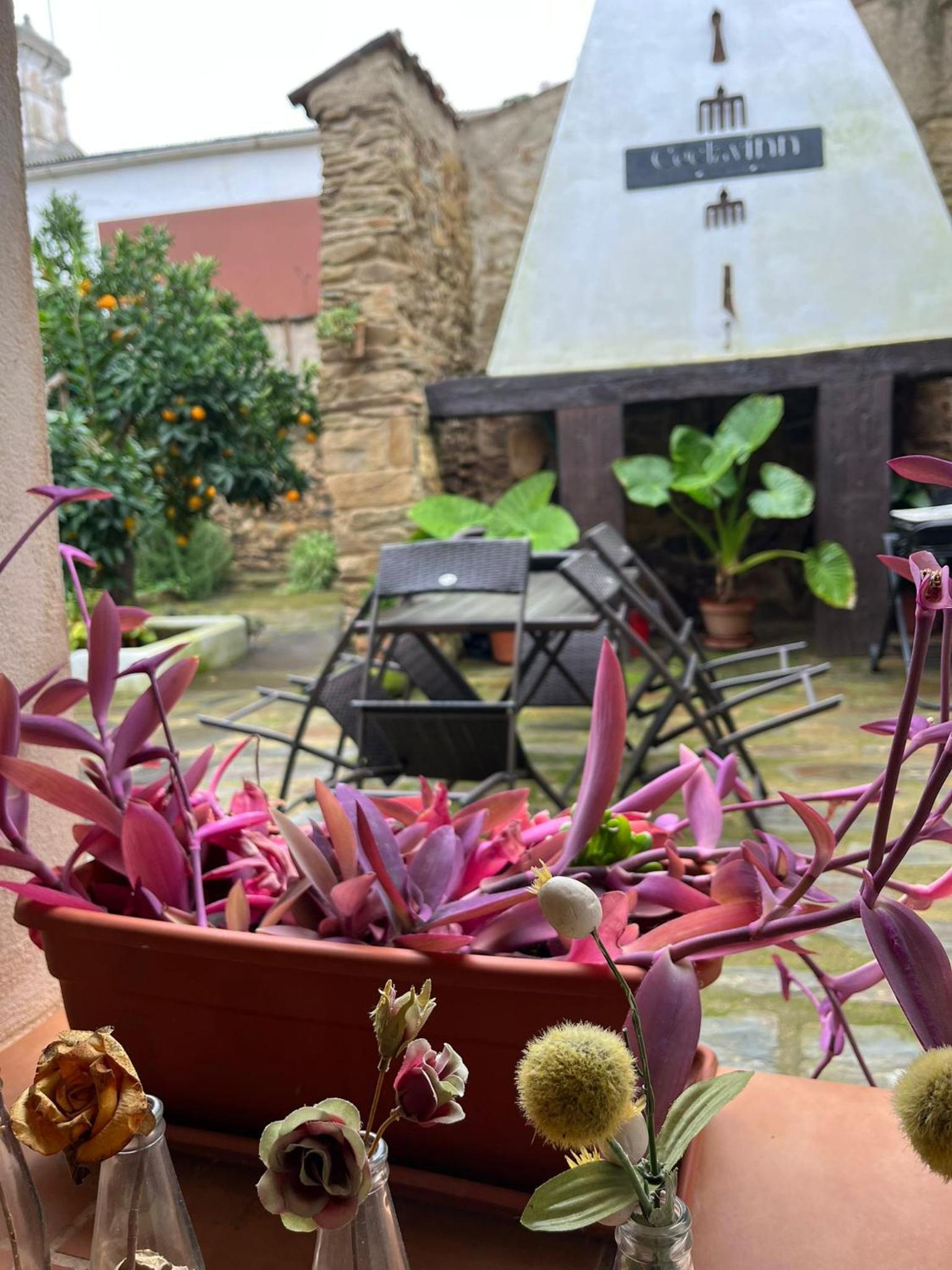 Ceclavinn Casa Rural
