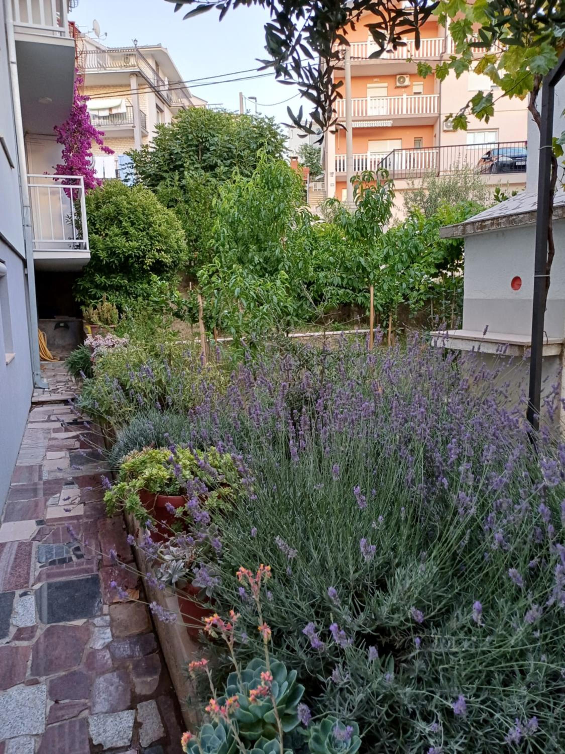 Apartment Sano