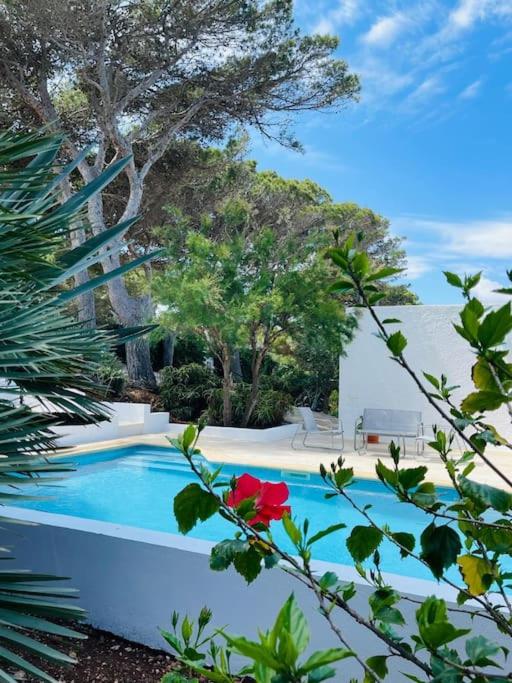 Ses Roques Vermelles - Menorca view 4