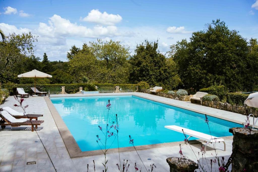 Villa nel bosco con piscina view 5