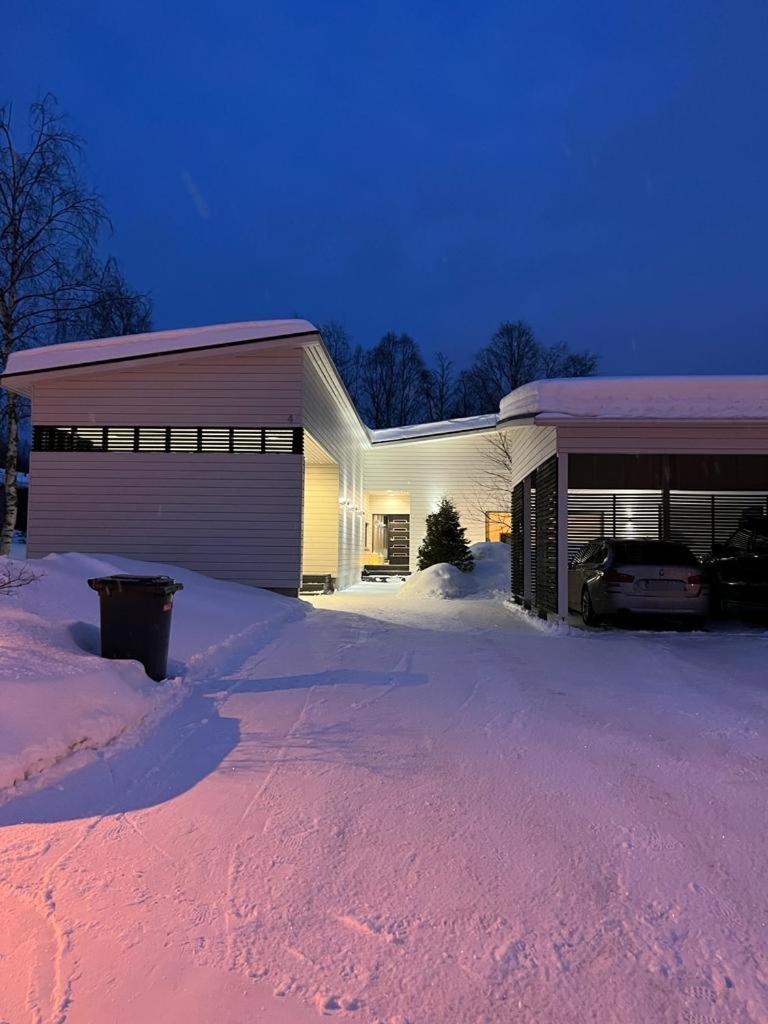 Scandinavian style house