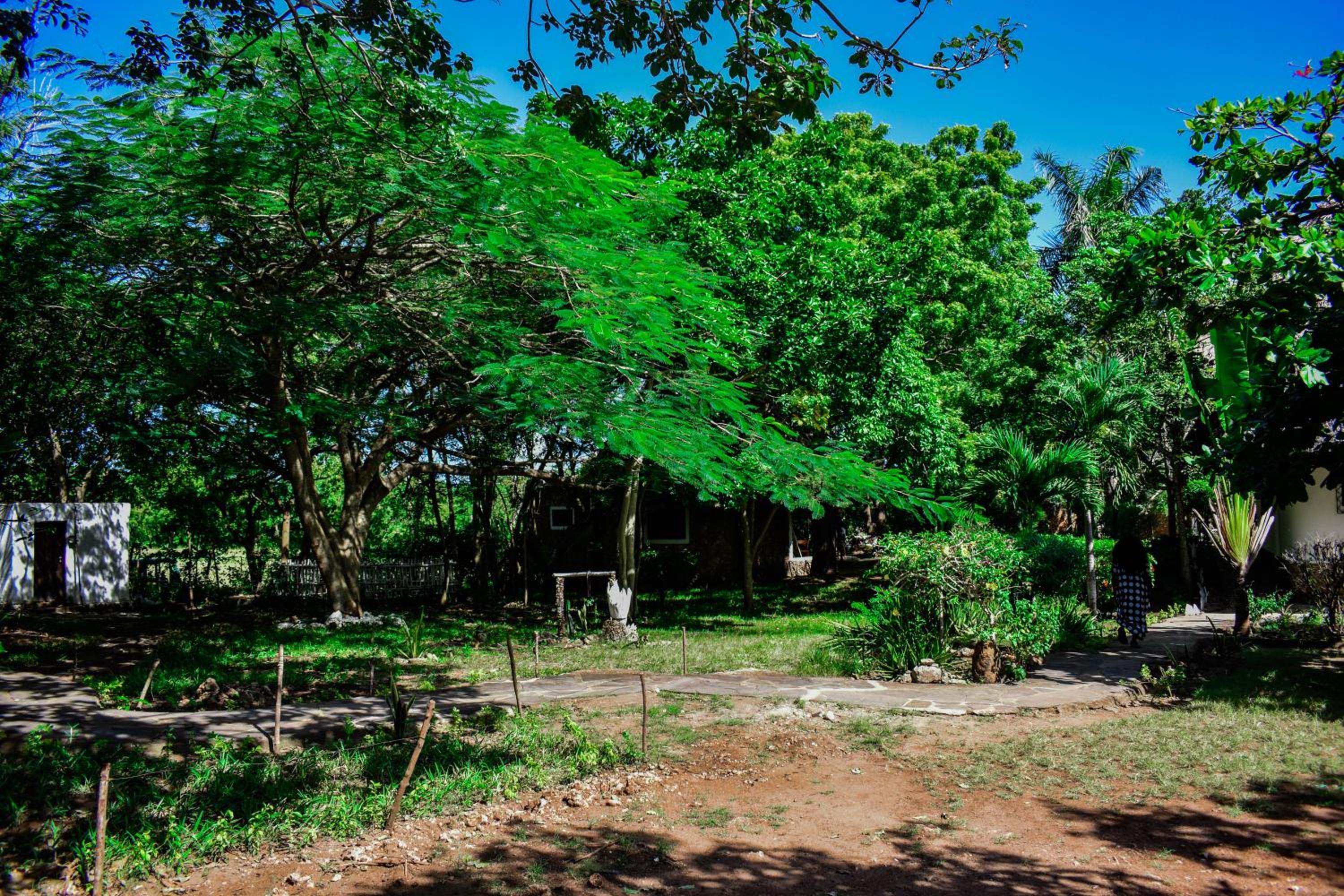 Pilipili