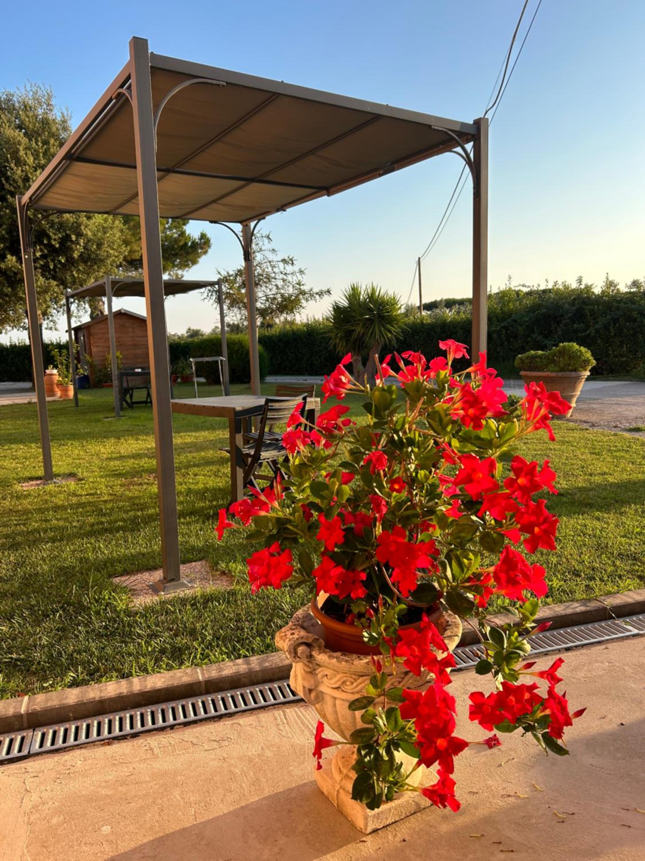 Agriturismo da Michele e Carmela di Voli Patrizia view 3