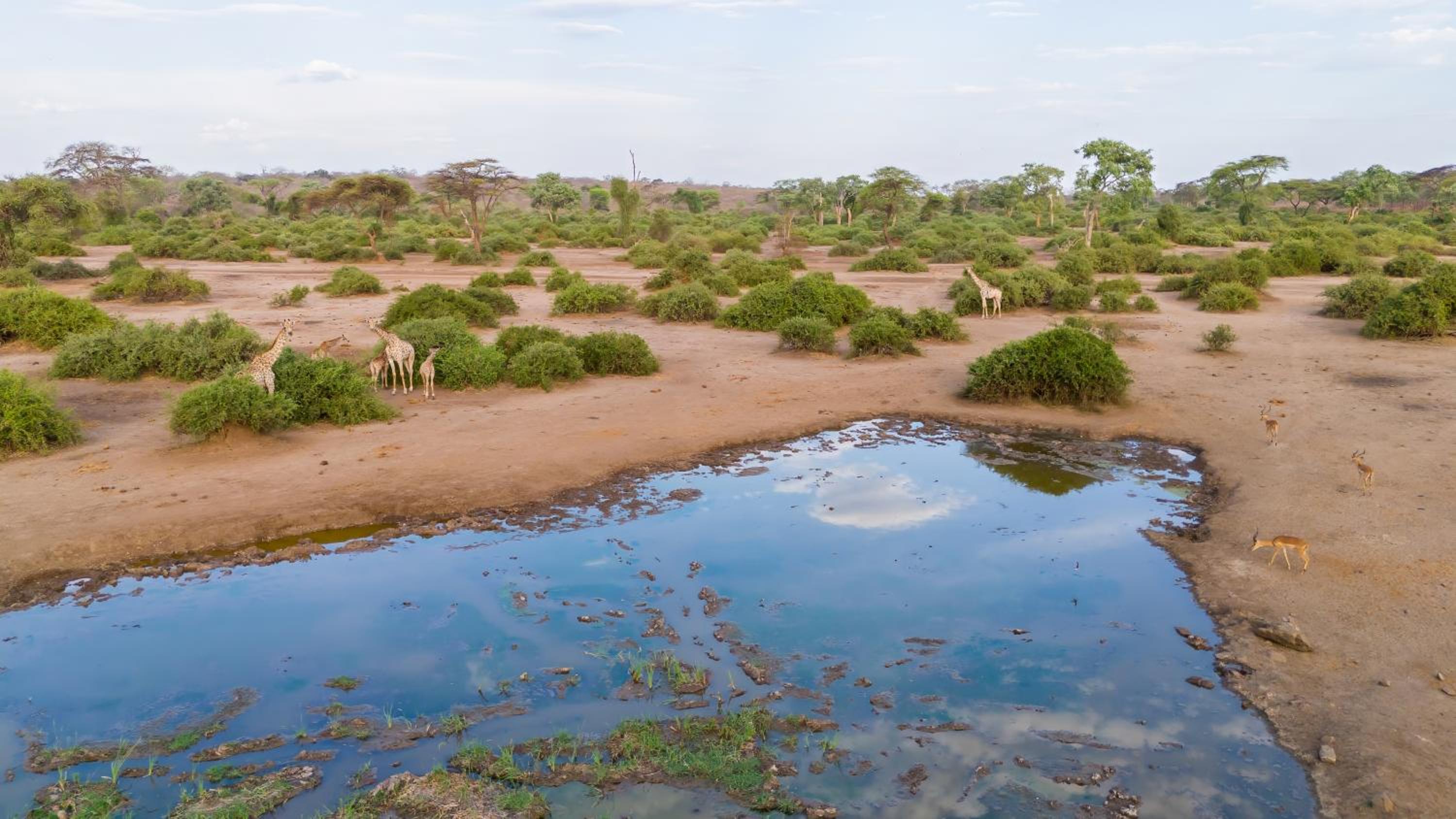 Elephant Valley Lodge