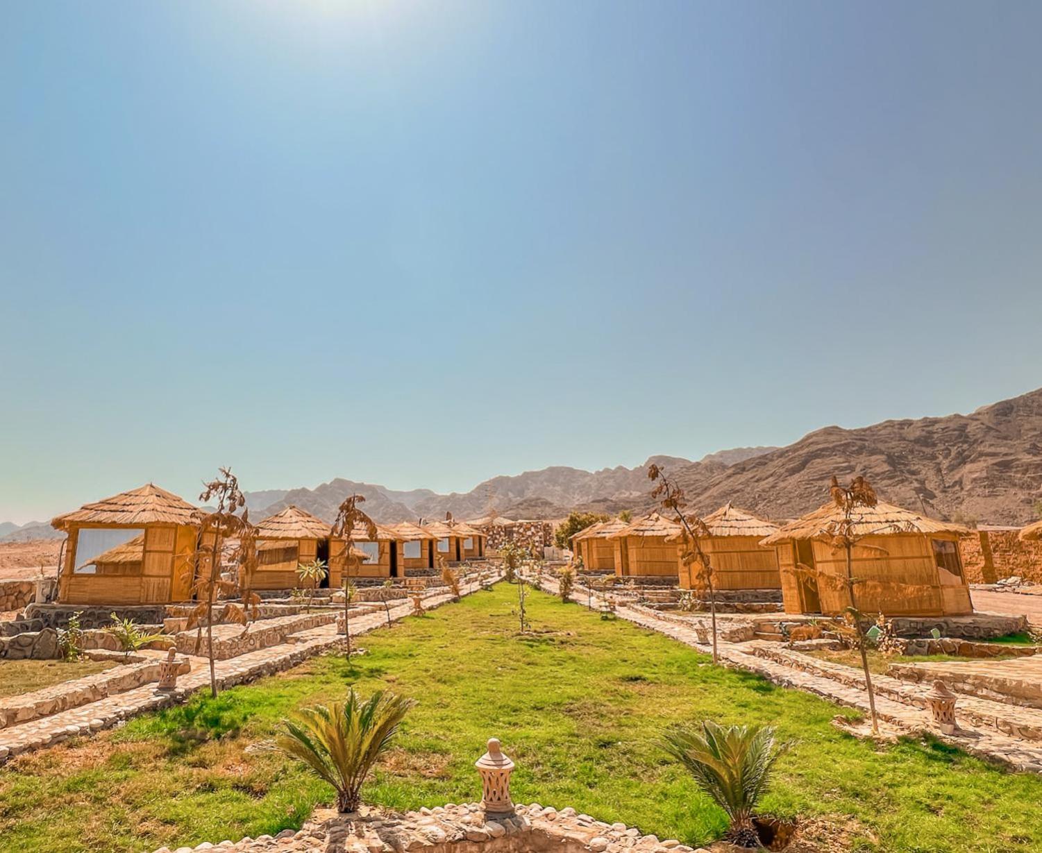 Heaven Gate Camp