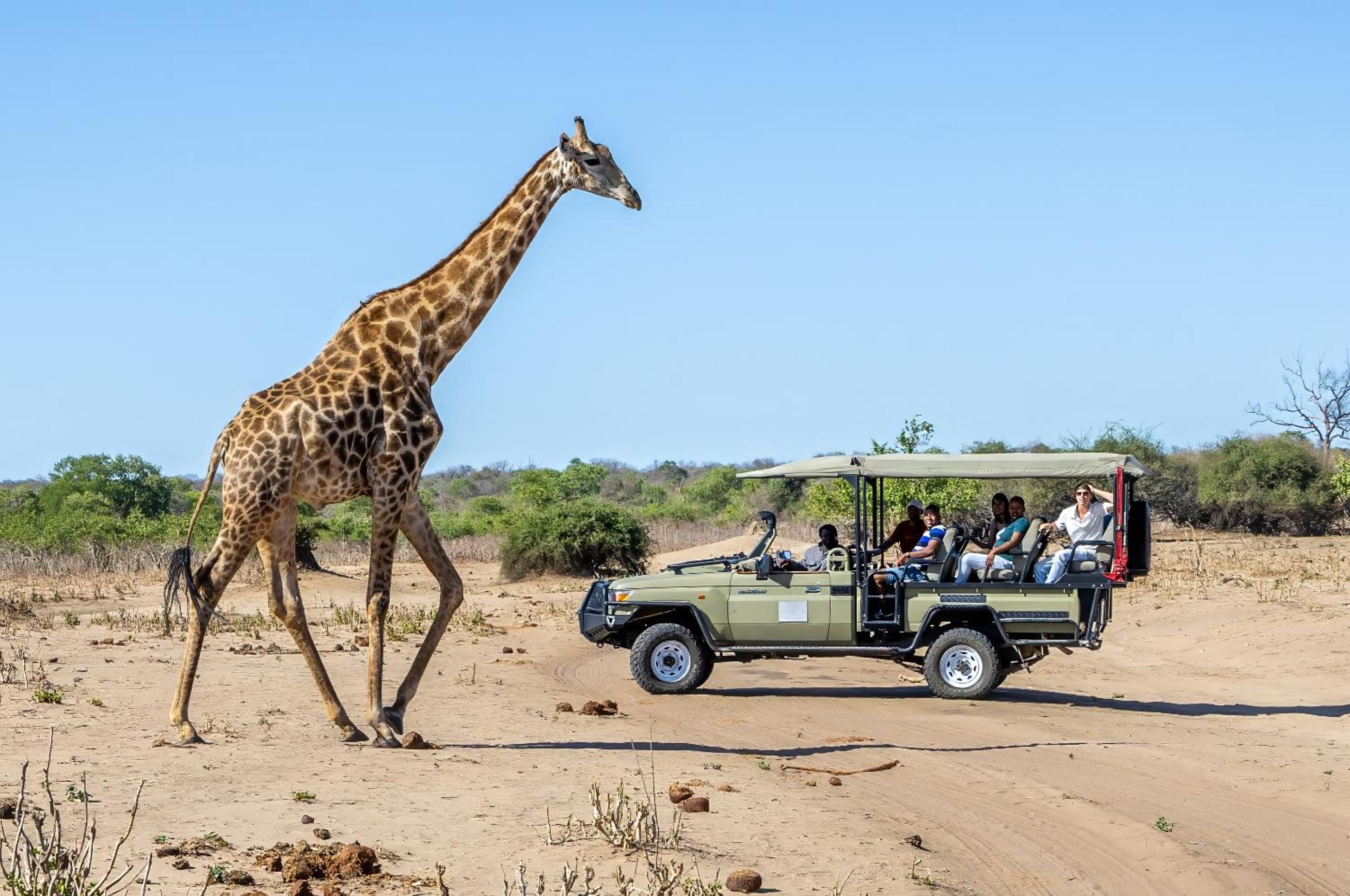 Elephant Valley Lodge