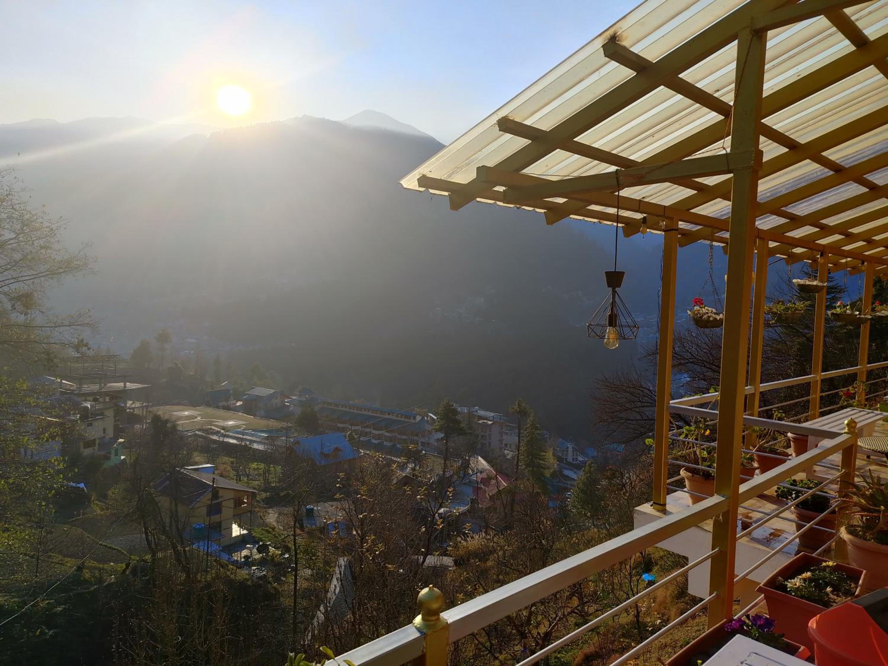 Forest View Homestay