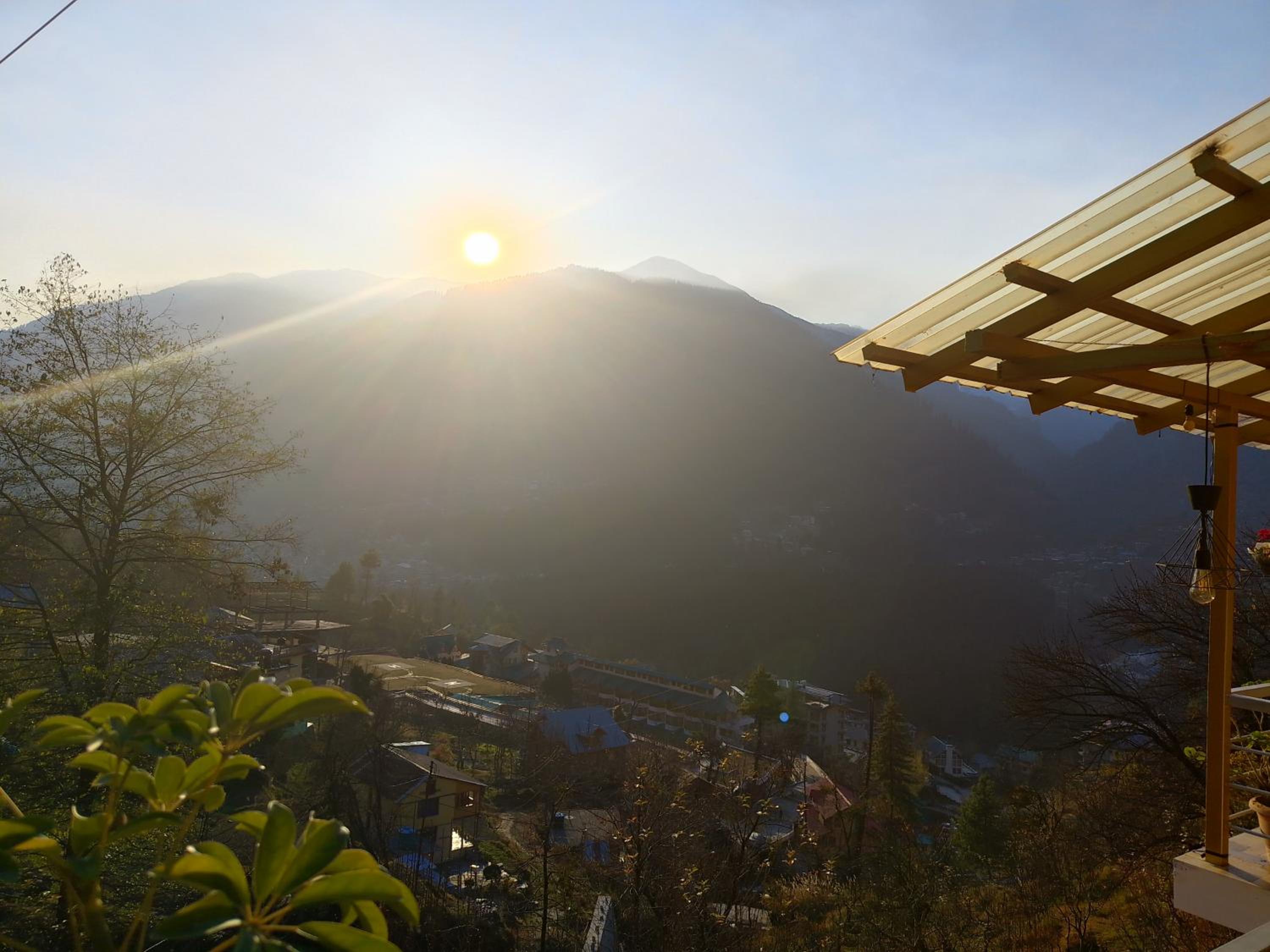 Forest View Homestay